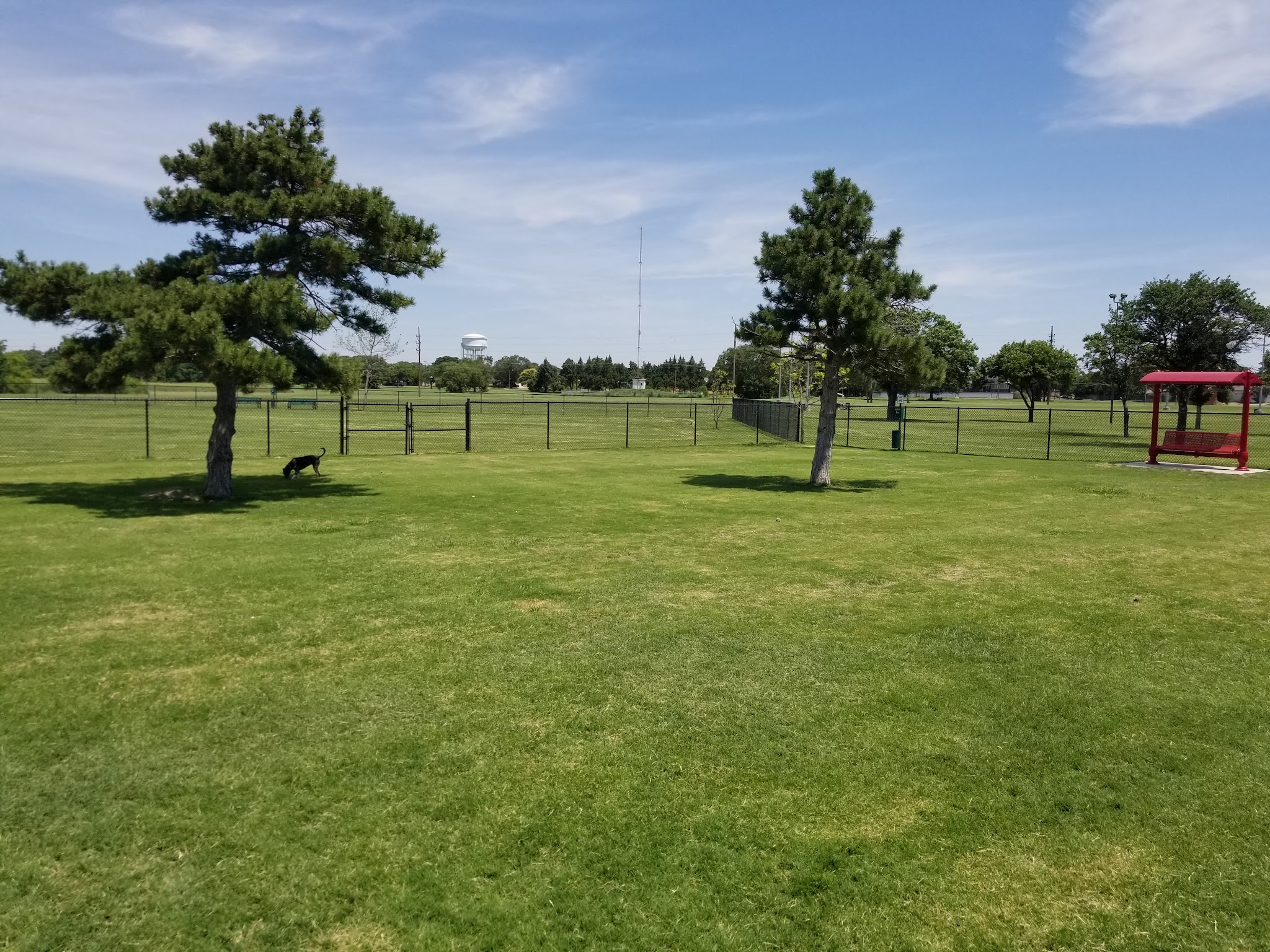 Clapp- Hub City Dog Park - Lubbock, TX