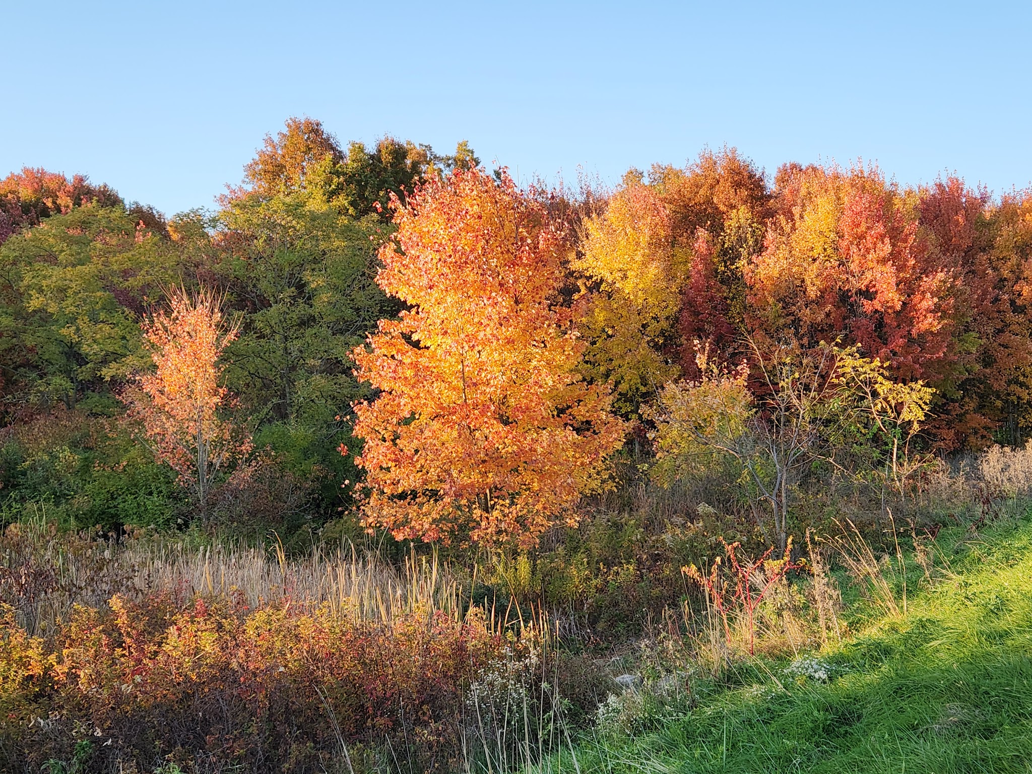 Loyalton Park - Lykens, PA