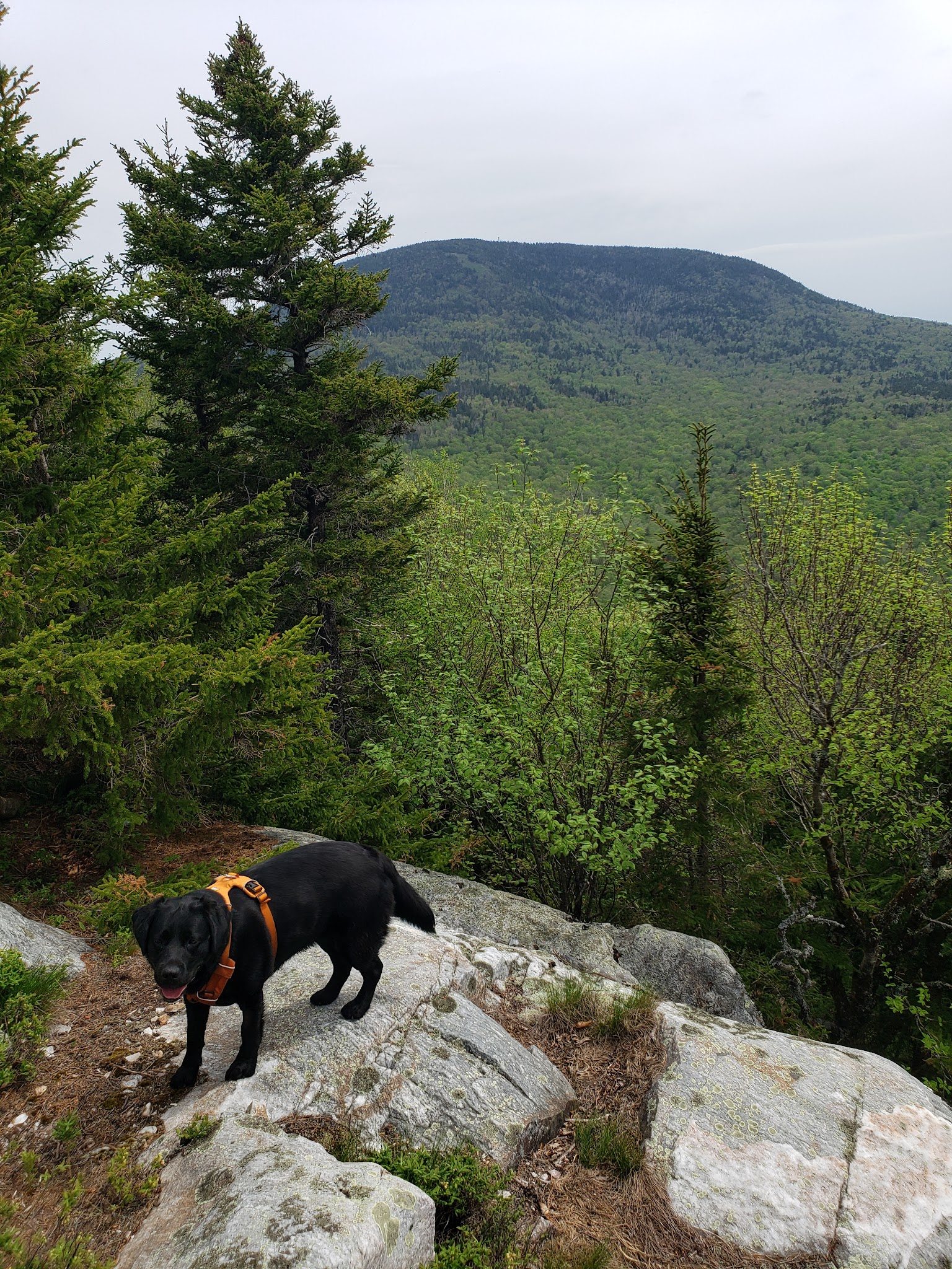 Smarts Mountain Trailhead - Lyme, NH