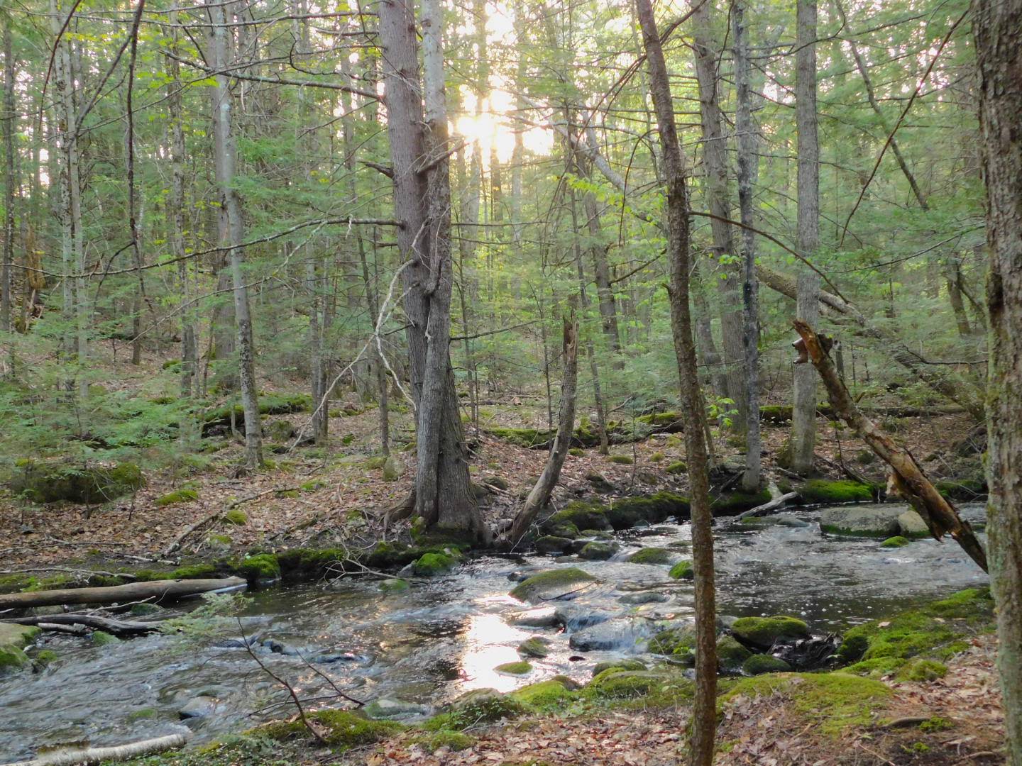 Upper Purgatory Fall Trail Head Parking - Lyndeborough, NH