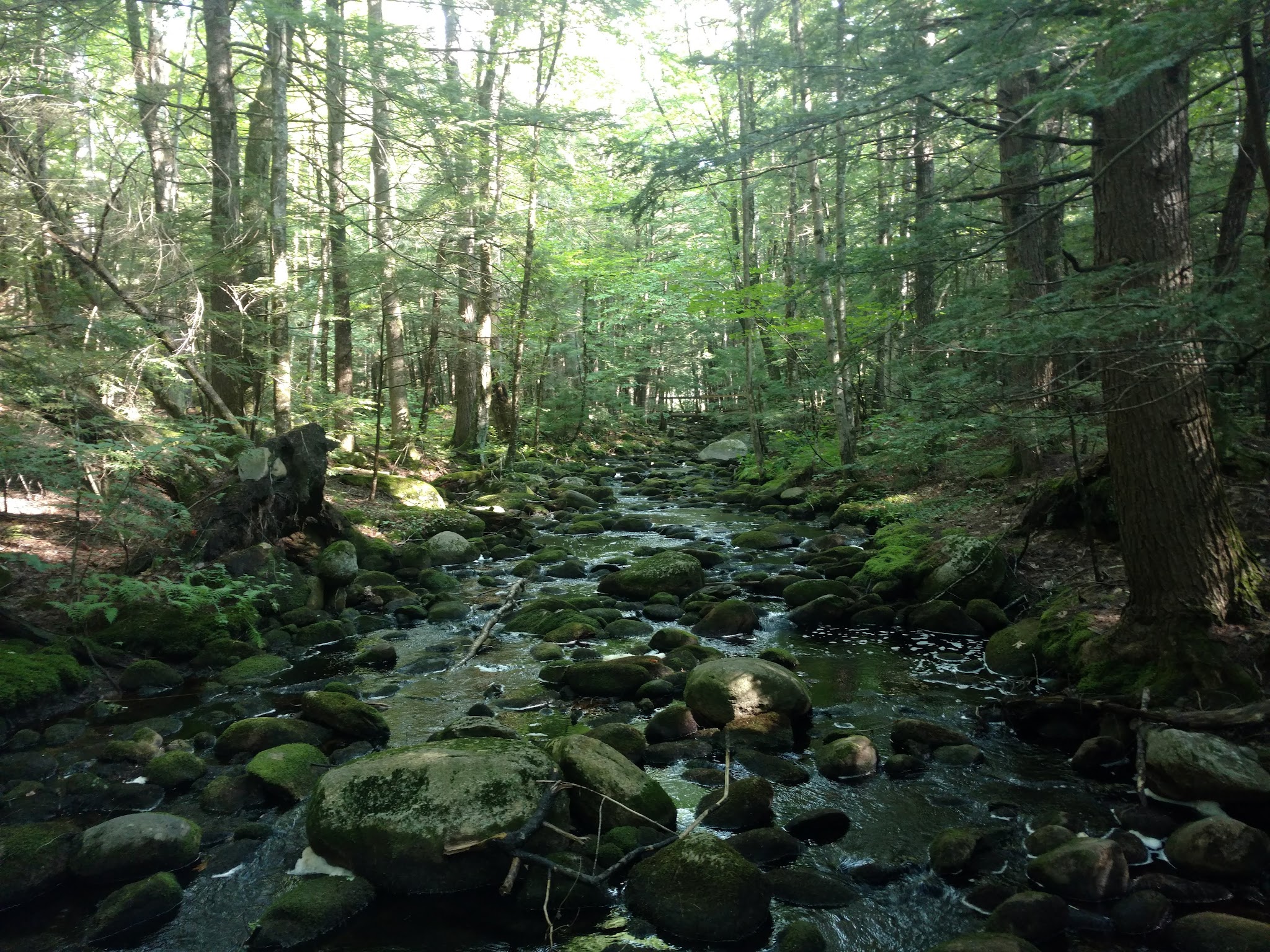 Upper Purgatory Fall Trail Head Parking - Lyndeborough, NH