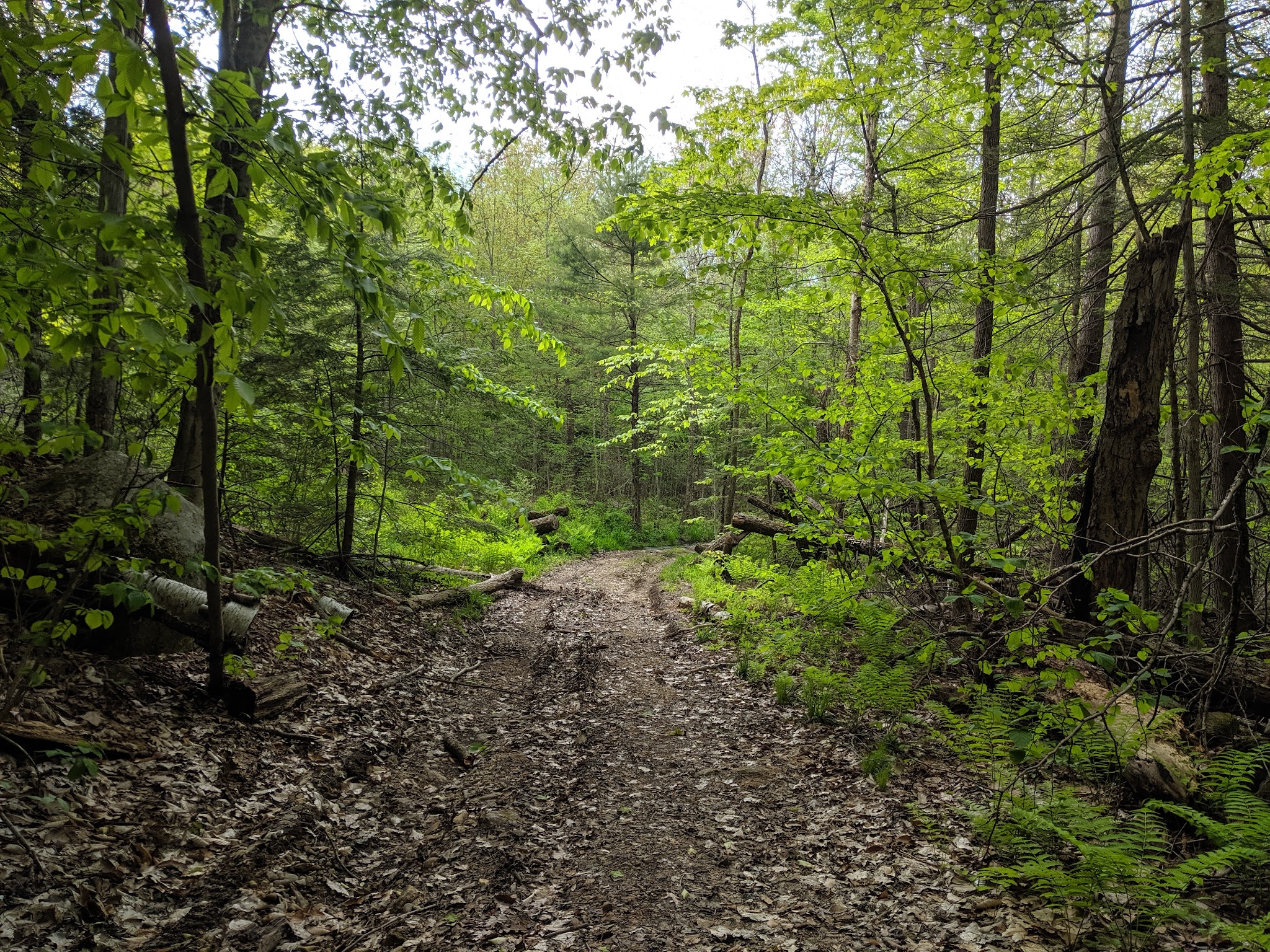 Upper Purgatory Fall Trail Head Parking - Lyndeborough, NH