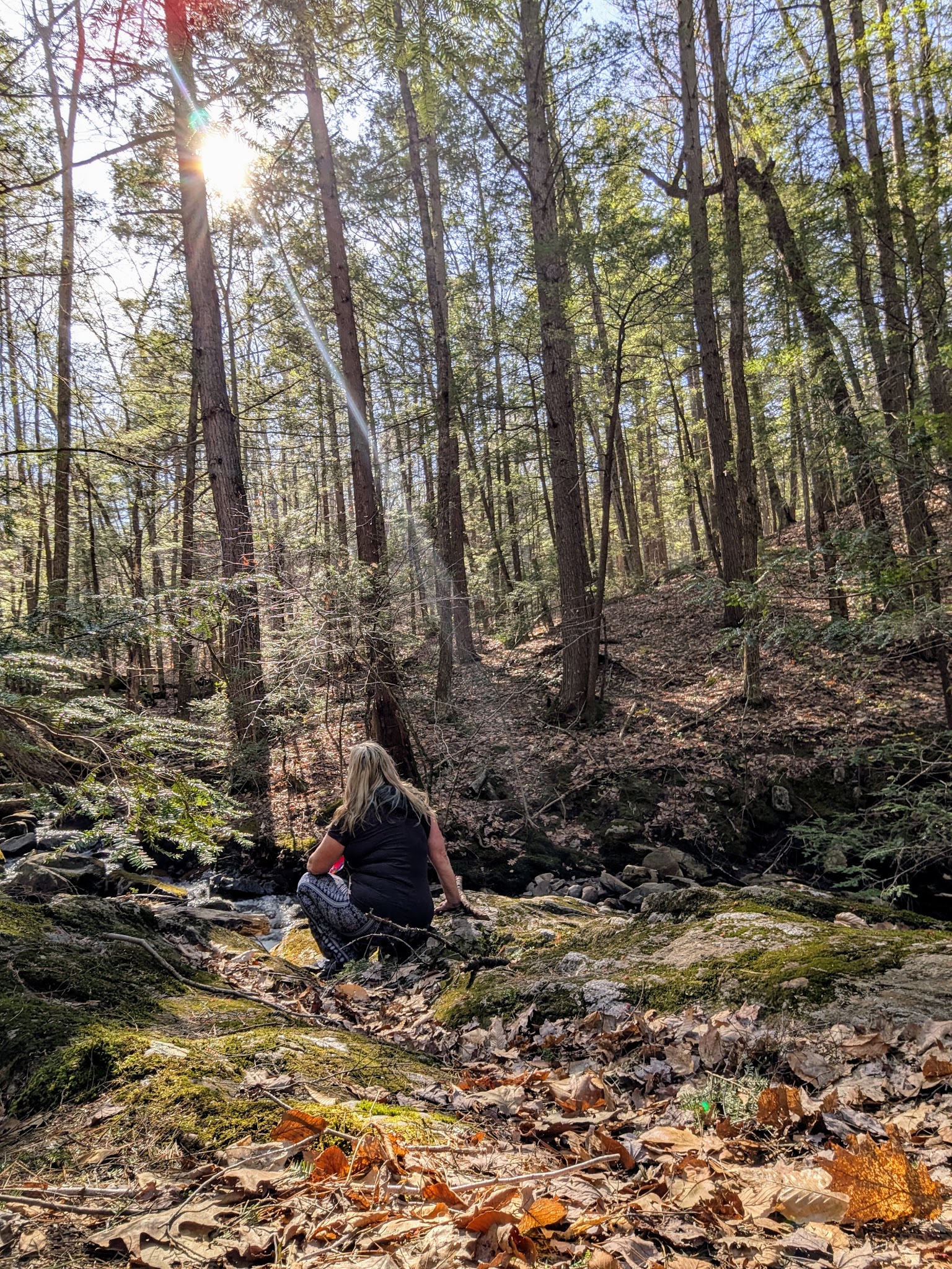 Senter falls - Lyndeborough, NH