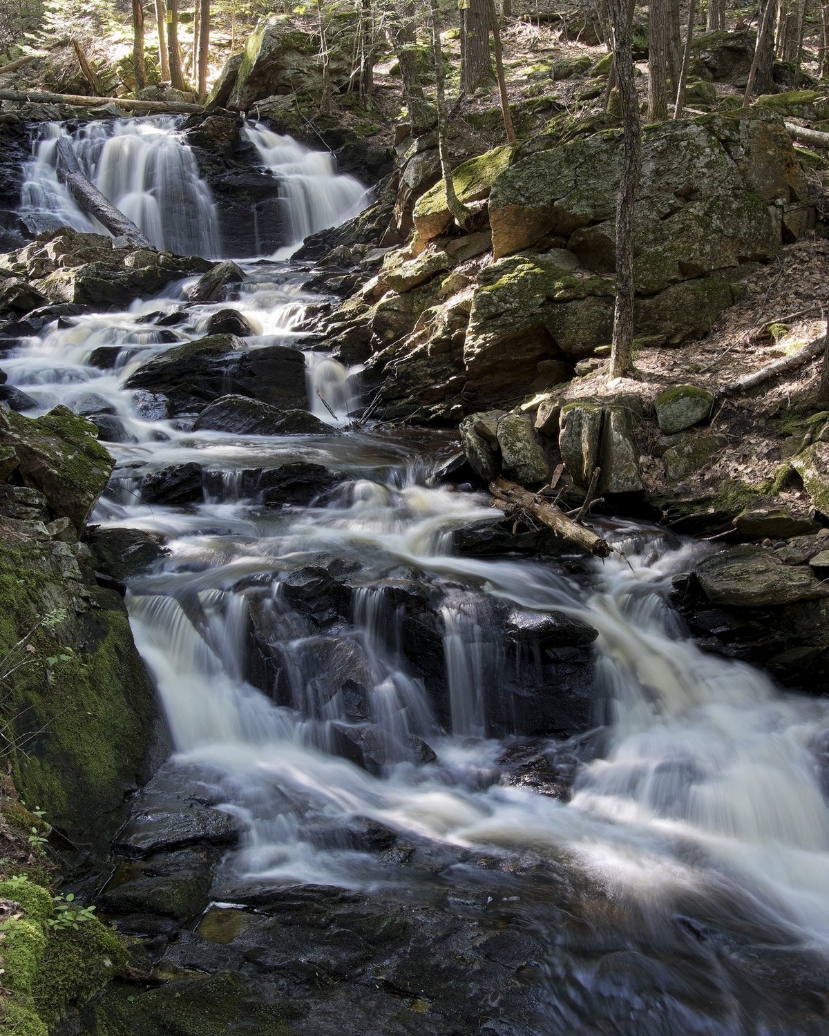 Senter falls - Lyndeborough, NH