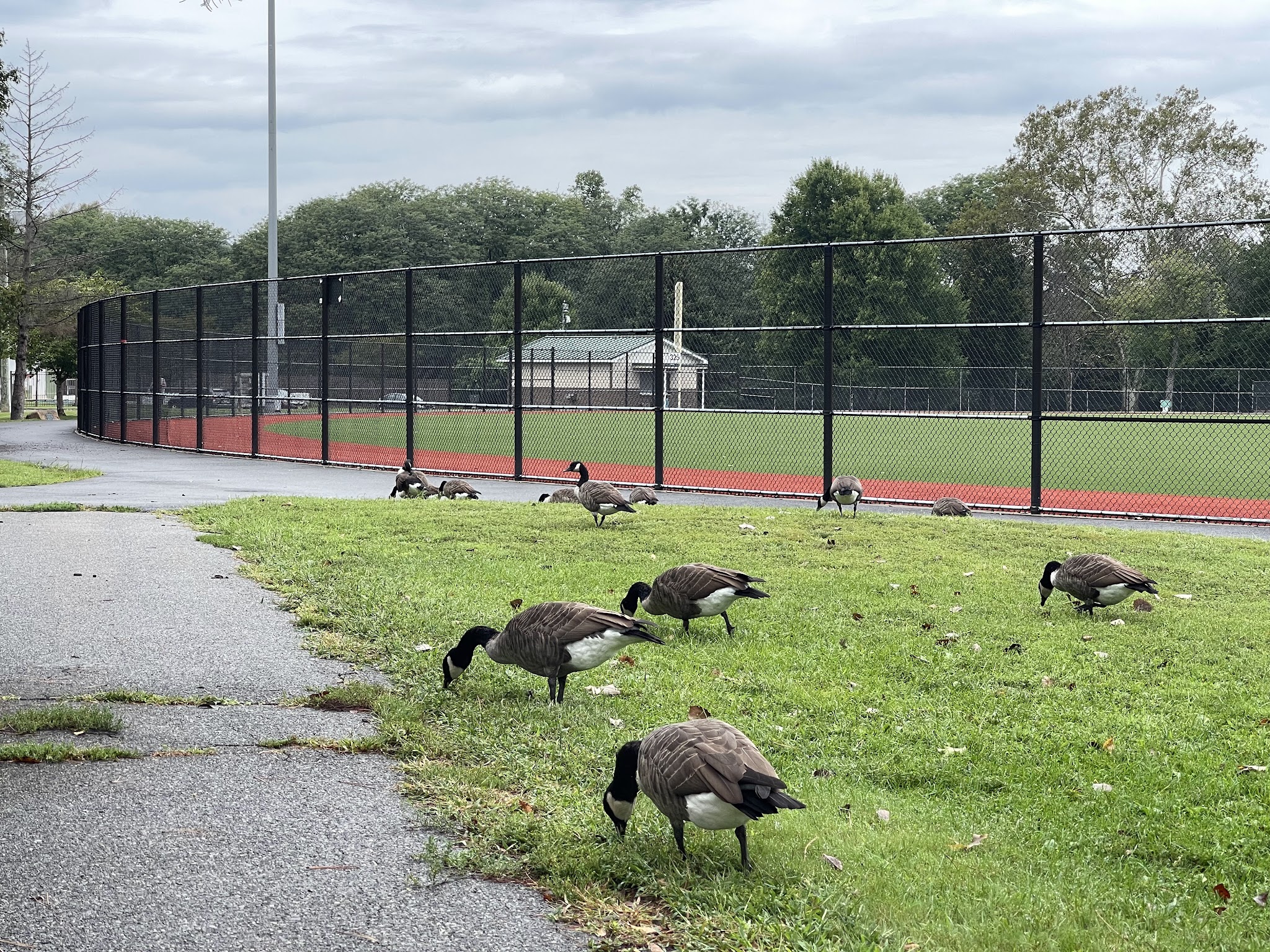 Breslin Field at Riverside County Park - Lyndhurst, NJ