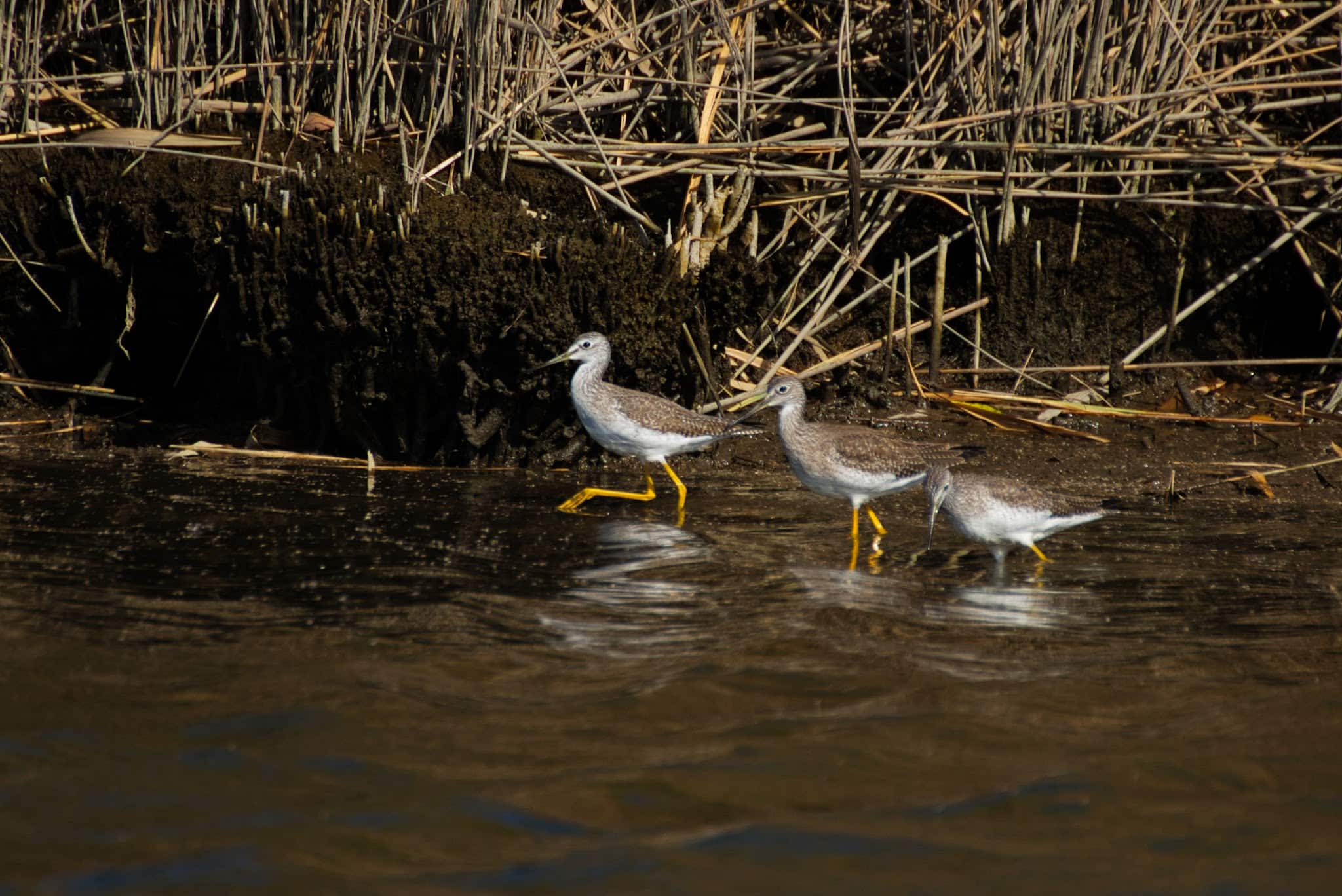 Meadowlands Environment Center - Lyndhurst, NJ