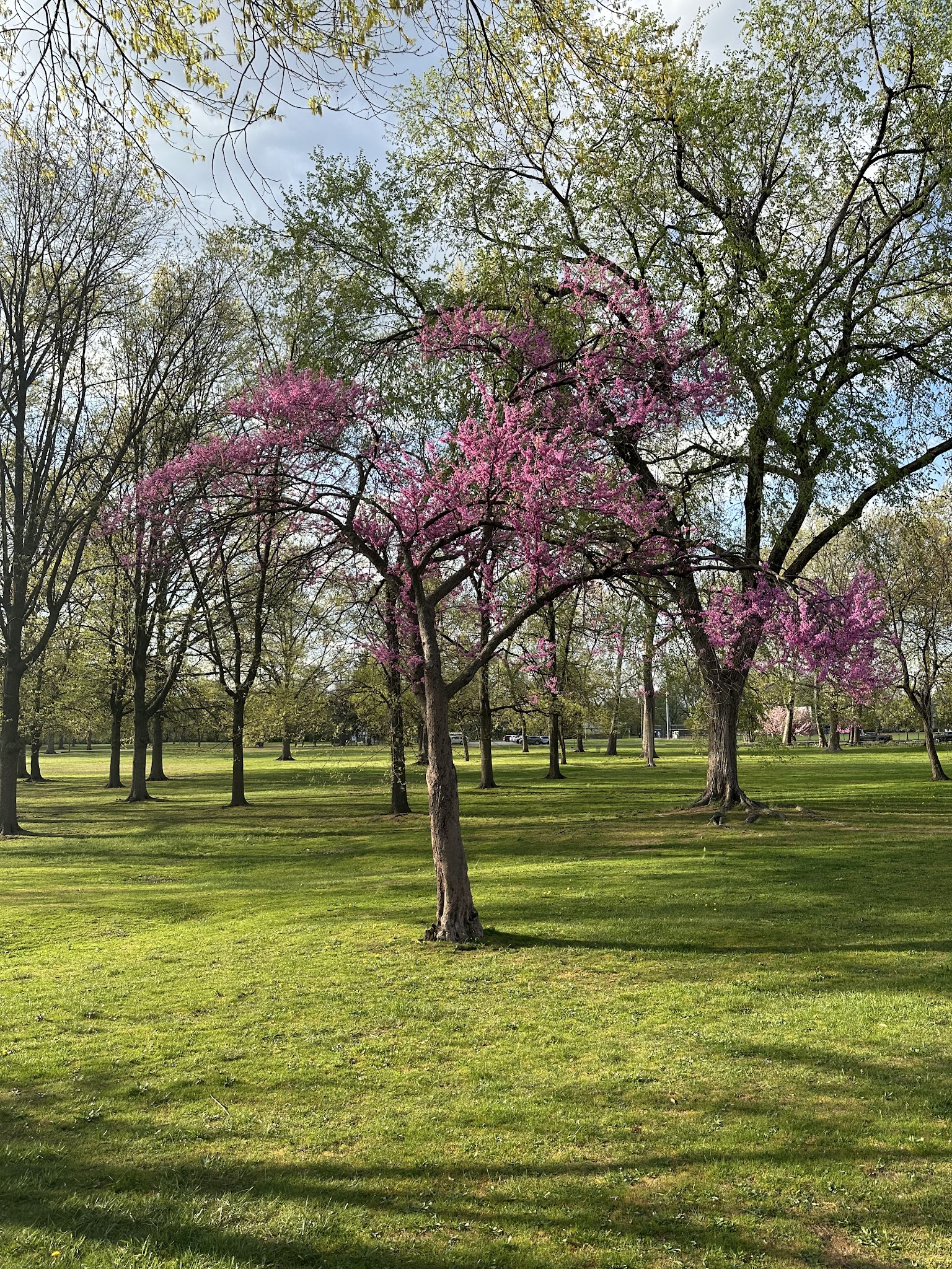 Riverside County Park Joseph Carucci Area - Lyndhurst, NJ