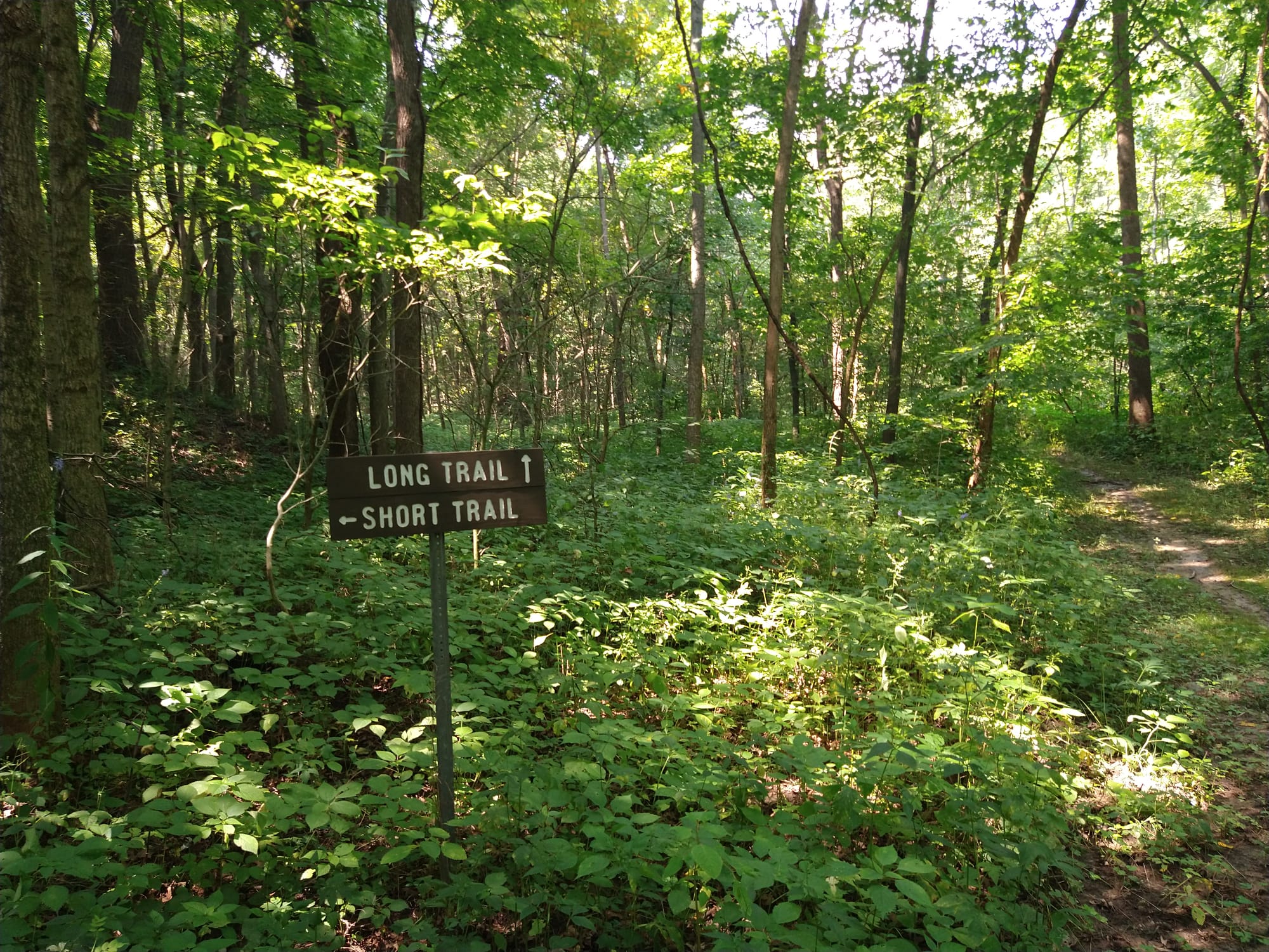 Mackinaw River State Fish and Wildlife Area - Mackinaw, IL