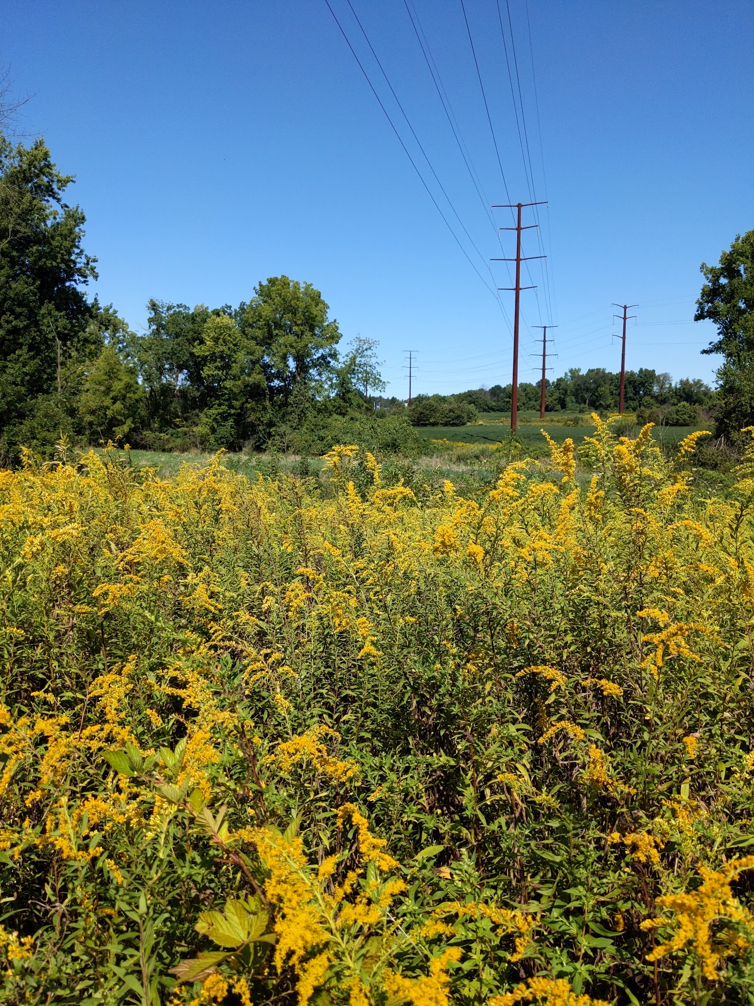 Danfield Run Passive Recreation Area - Macungie, PA