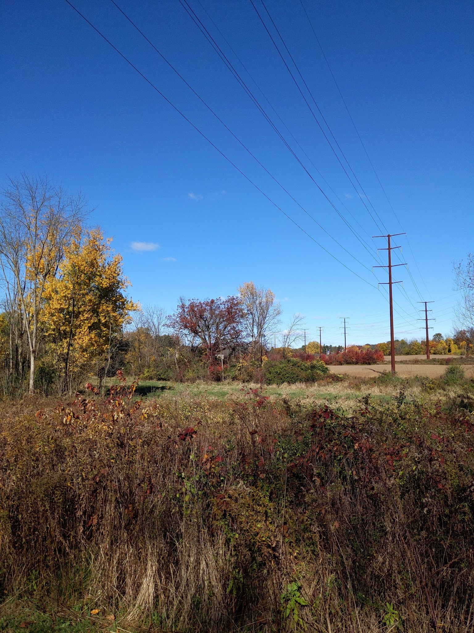 Danfield Run Passive Recreation Area - Macungie, PA