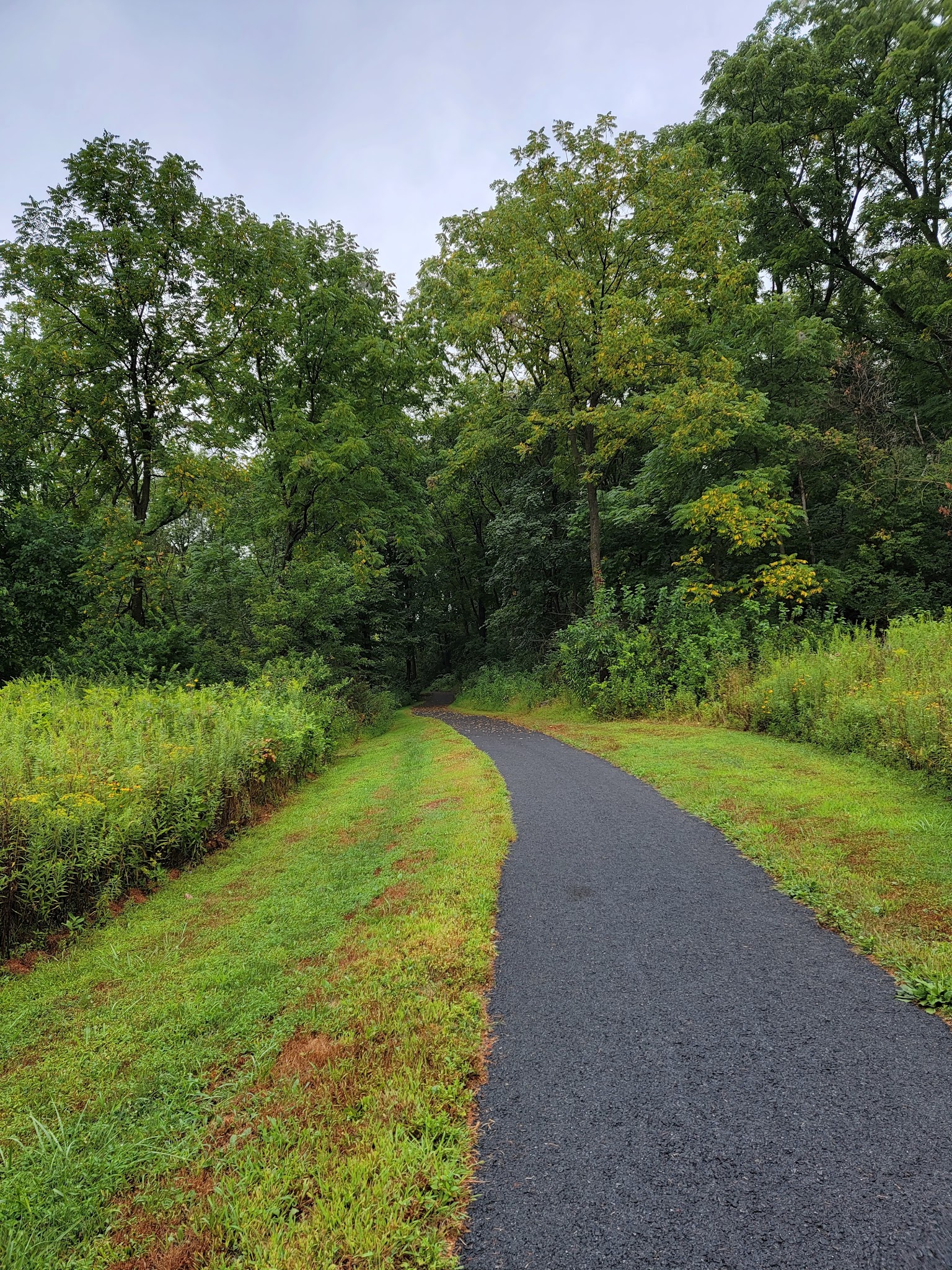 Danfield Run Passive Recreation Area - Macungie, PA