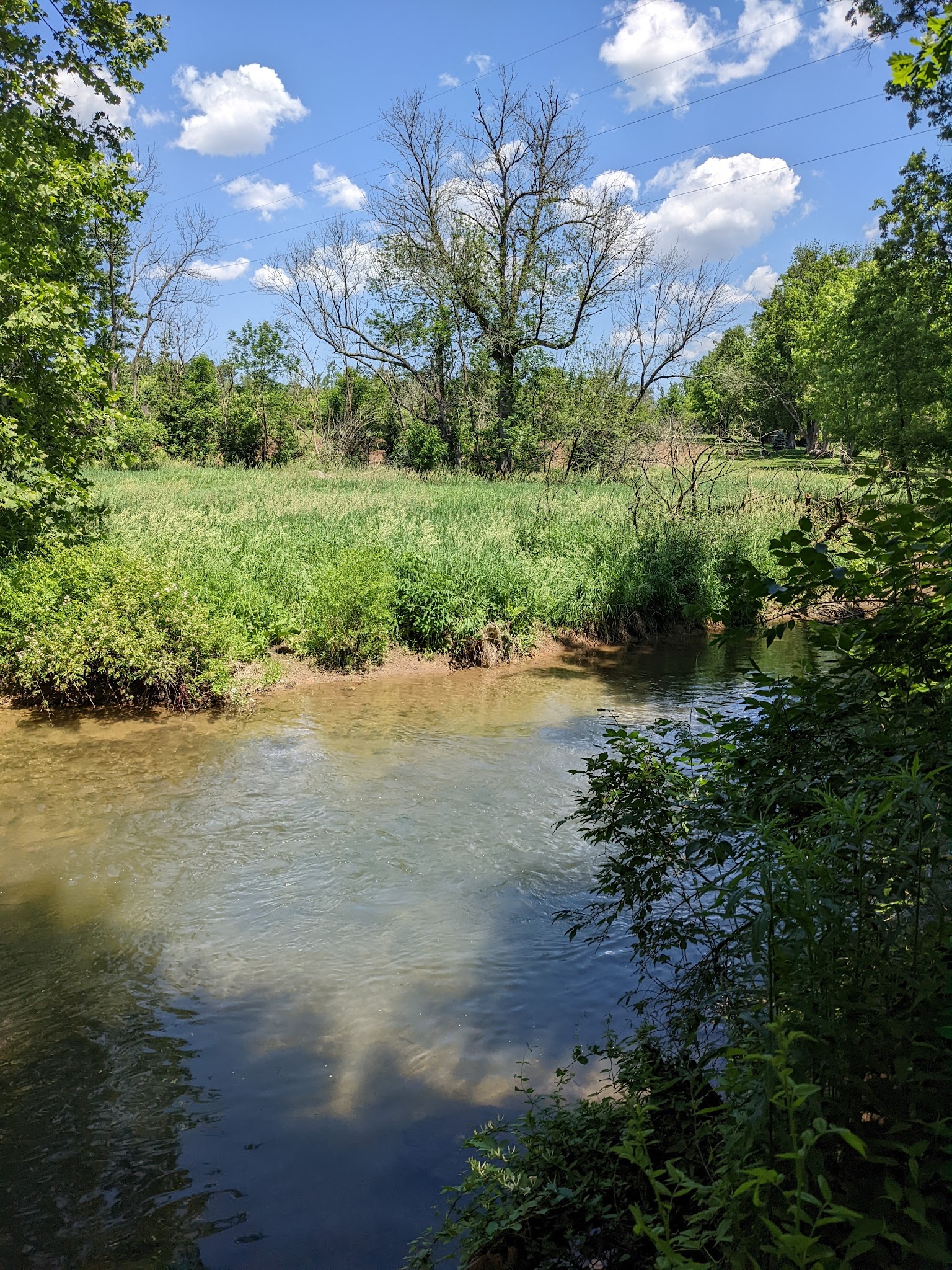 Danfield Run Passive Recreation Area - Macungie, PA