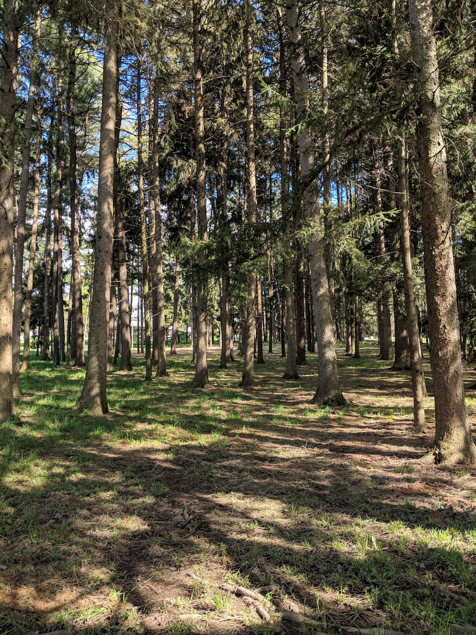 Kalmbach Memorial Park - Macungie, PA