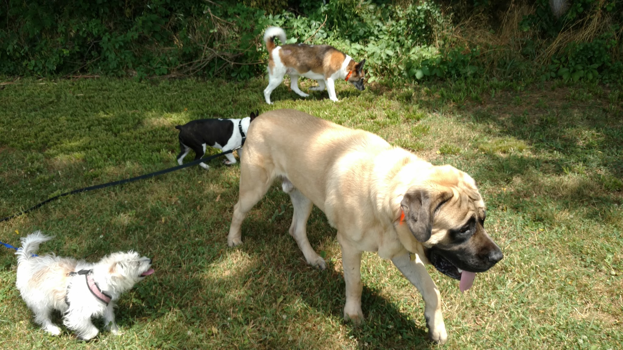 Quarry Lane Park - Macungie, PA