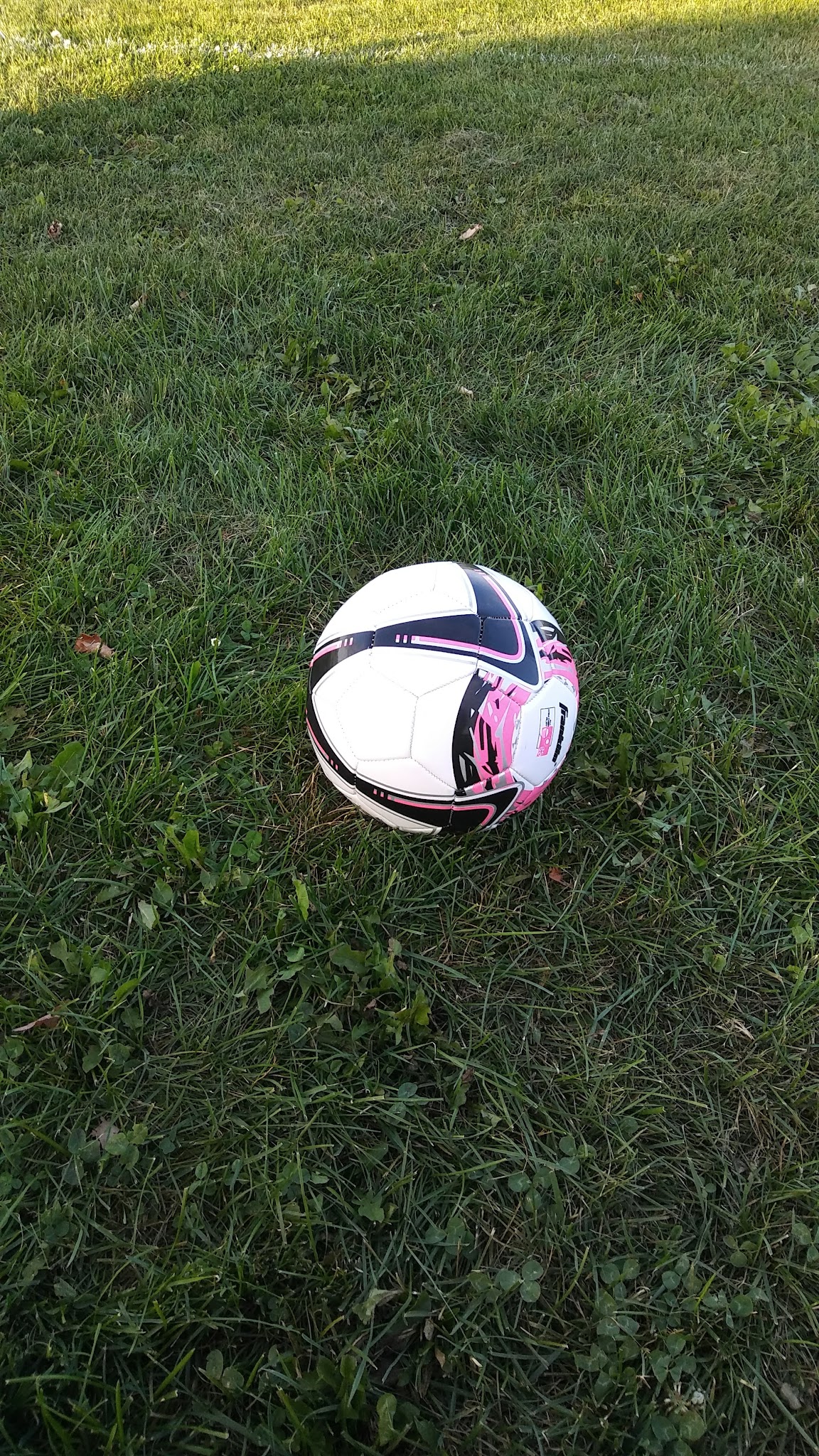 Springridge Soccer Park & Lower Macungie Greenway Trailhead. - Macungie, PA