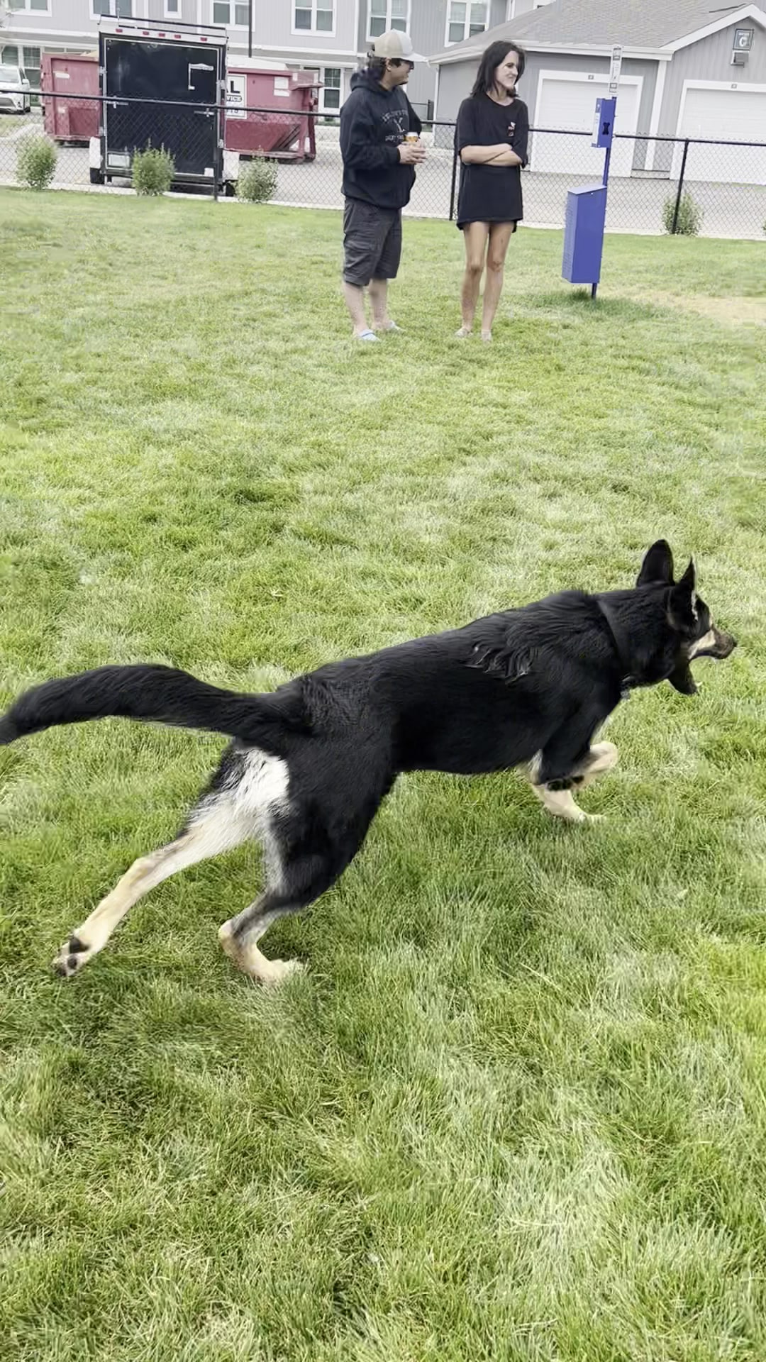 Sycamore Park Dog Park - Madison, WI