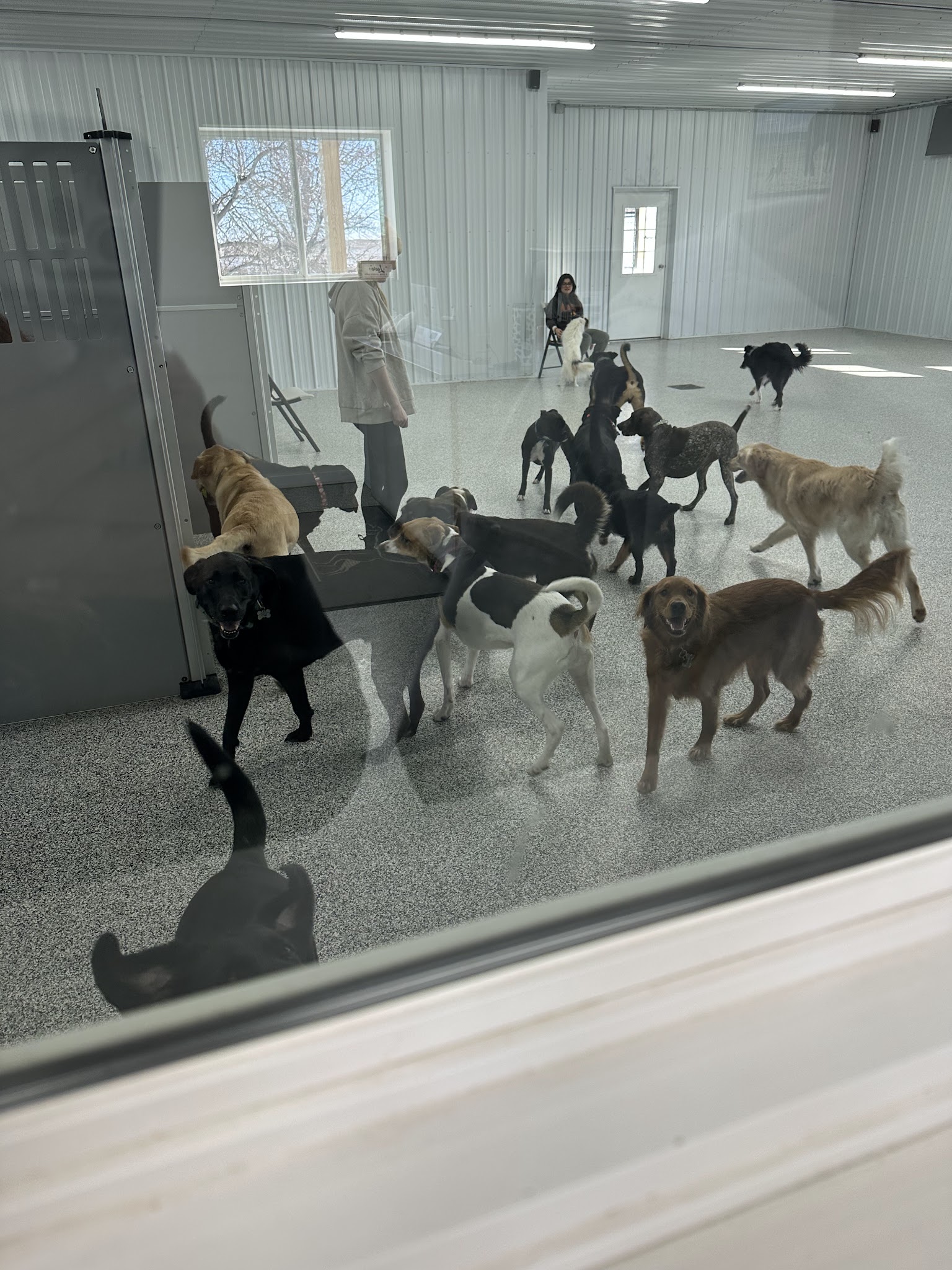 Big Creek Pet Lodge - Madrid, IA