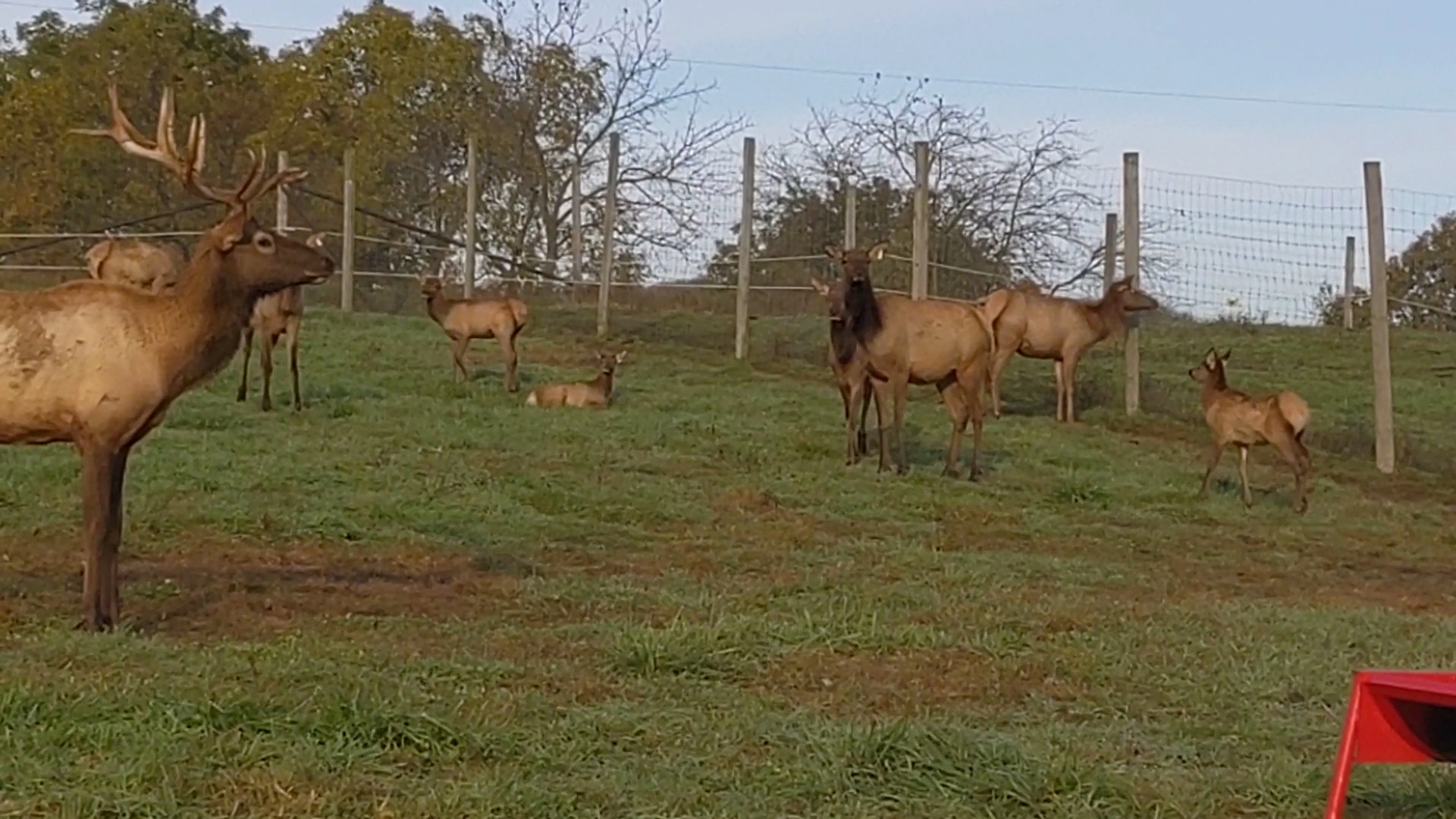Jester Park Natural Playscape - Madrid, IA