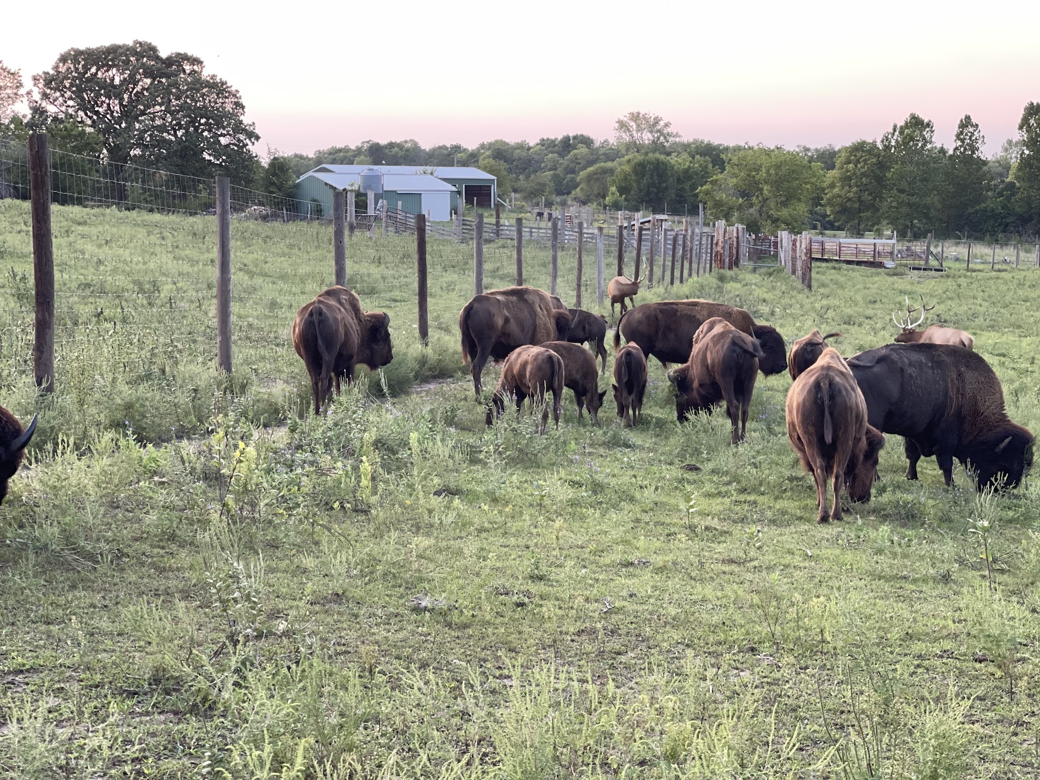 Jester Park Natural Playscape - Madrid, IA