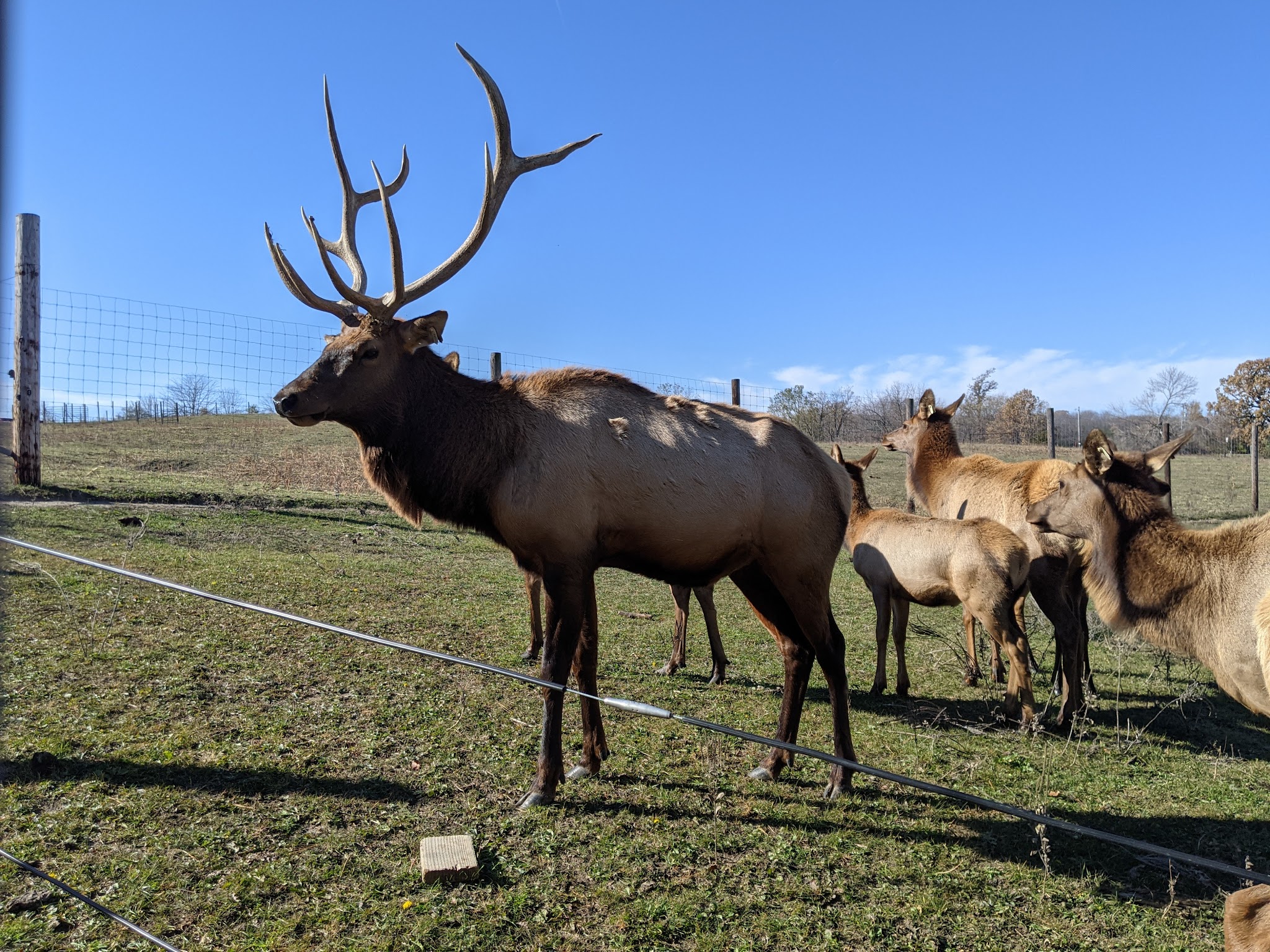 Jester Park Natural Playscape - Madrid, IA