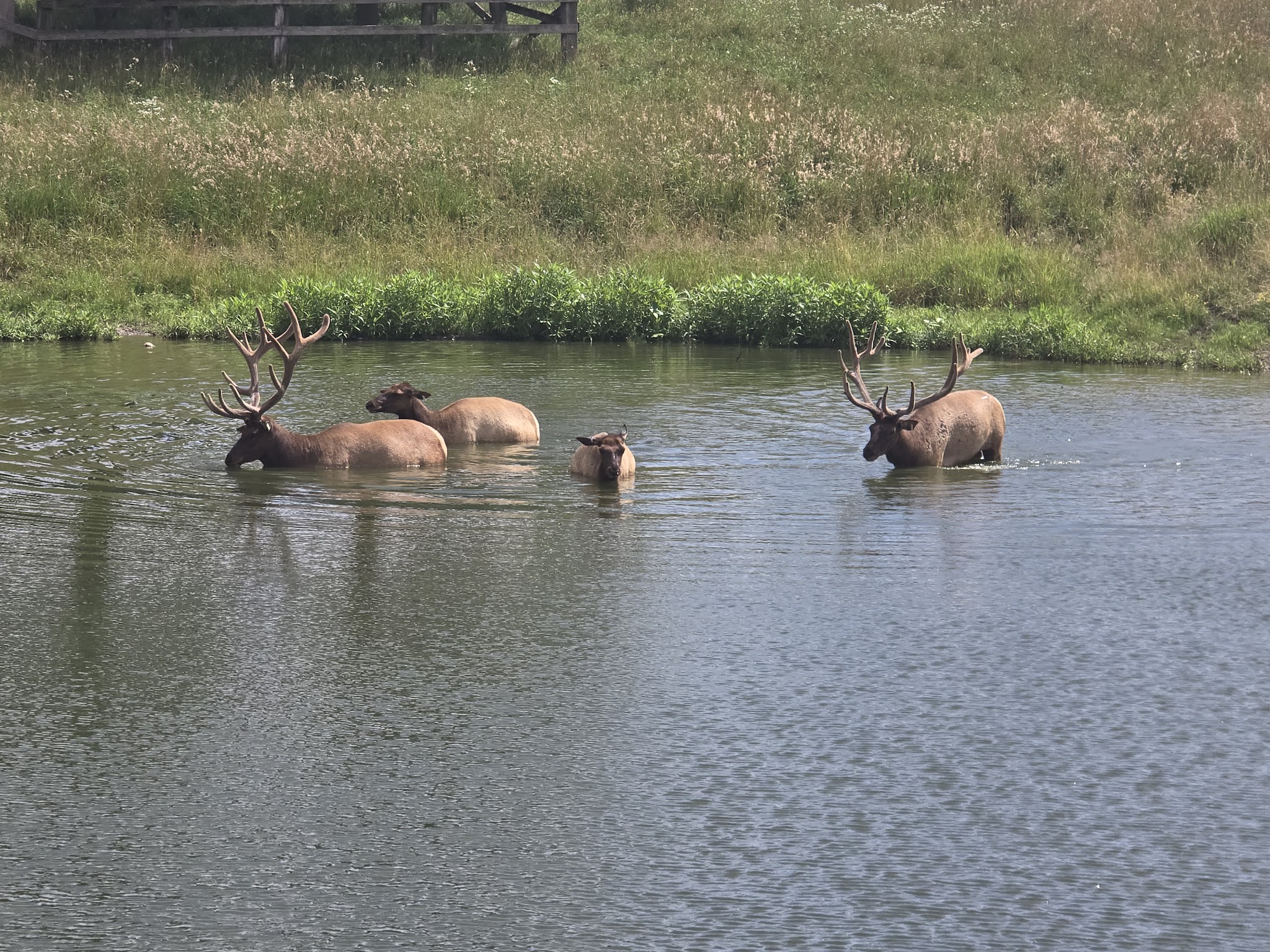 Jester Park Natural Playscape - Madrid, IA
