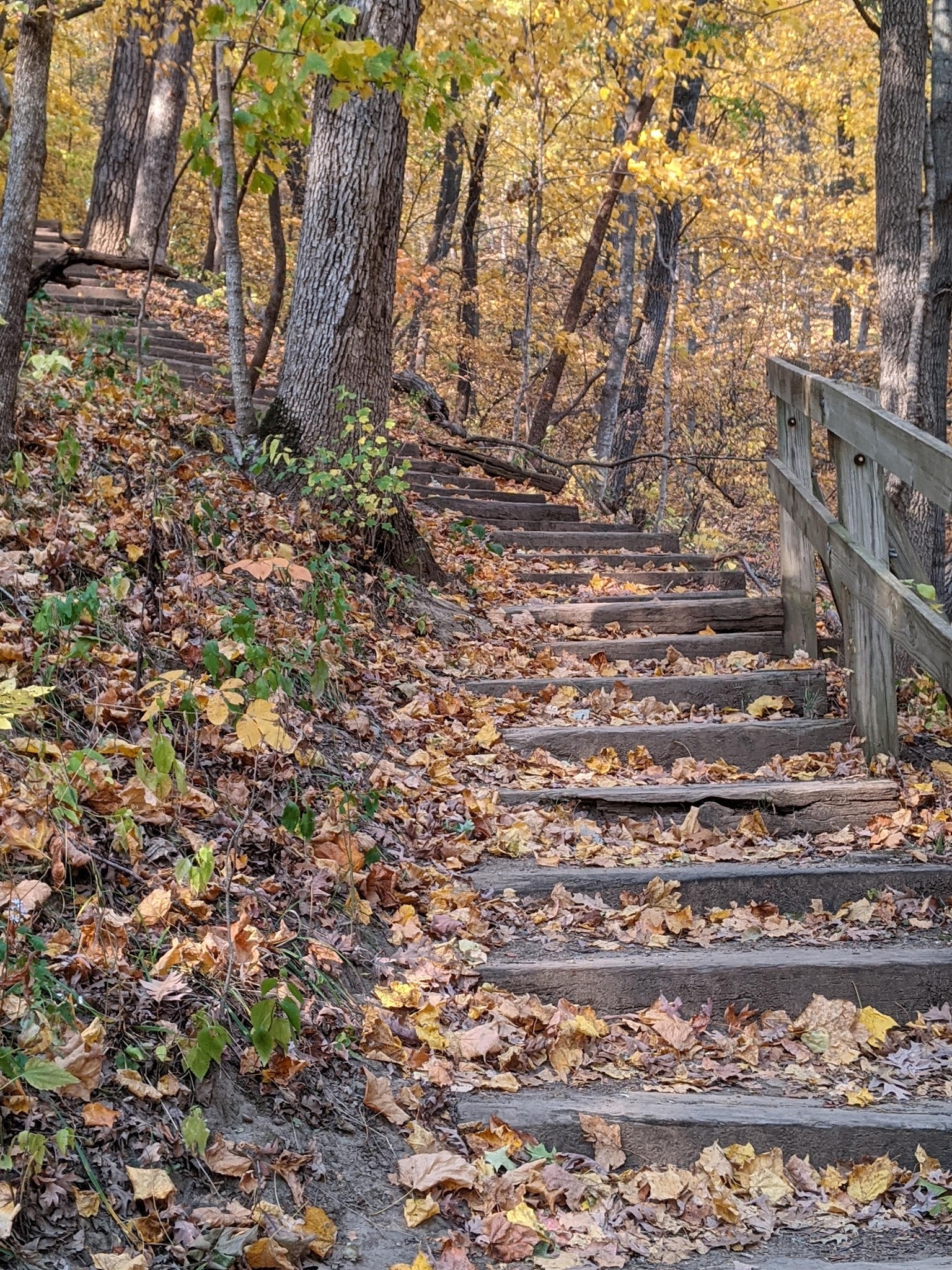 Ledges State Park - Madrid, IA