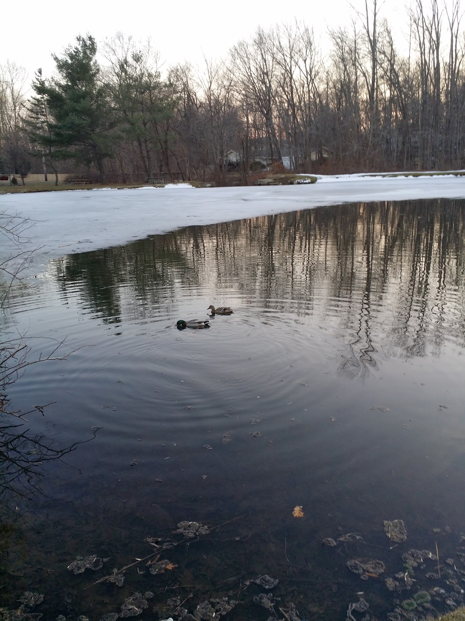 Airmount Park - Mahwah, NJ