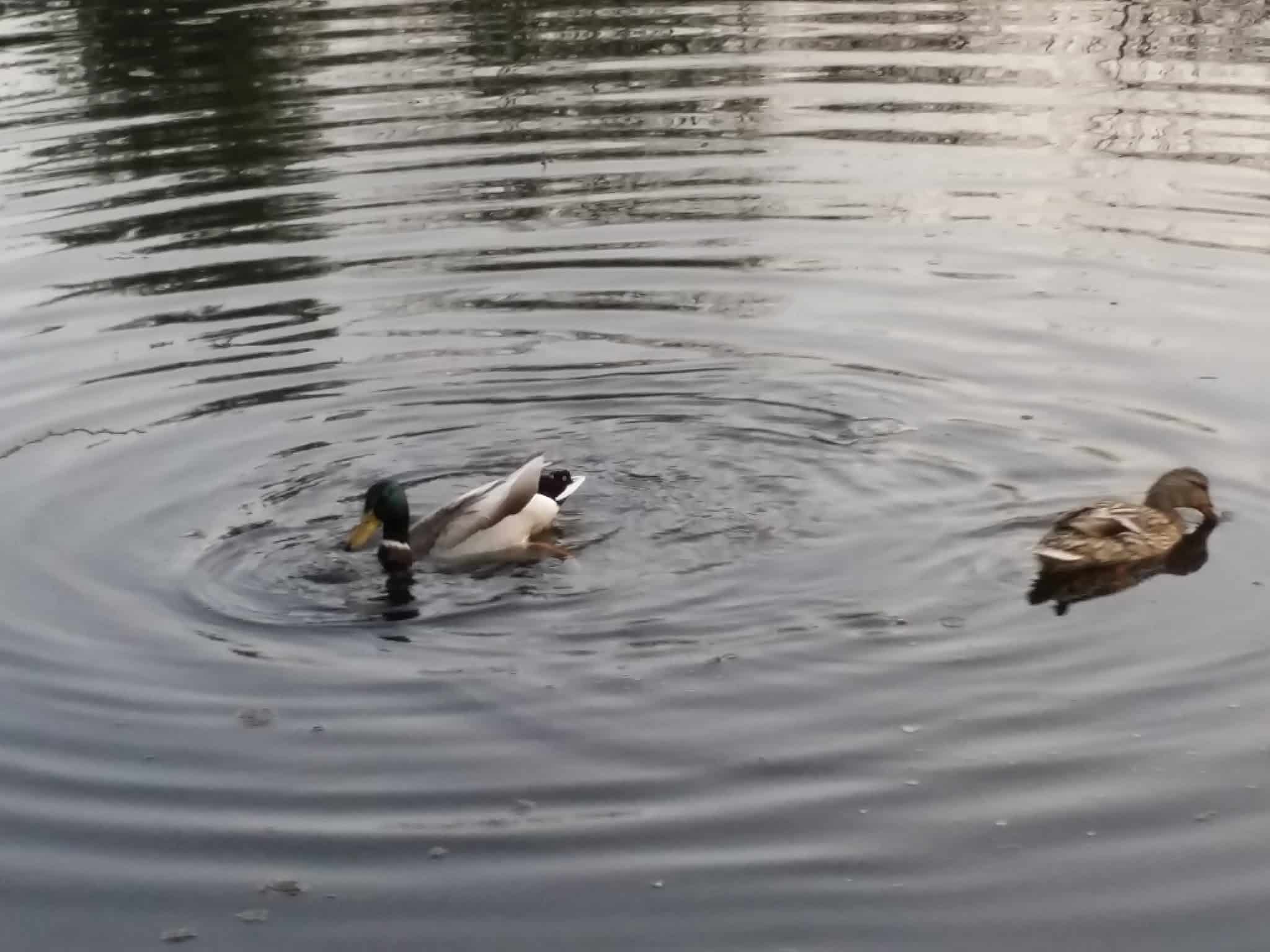 Airmount Park - Mahwah, NJ