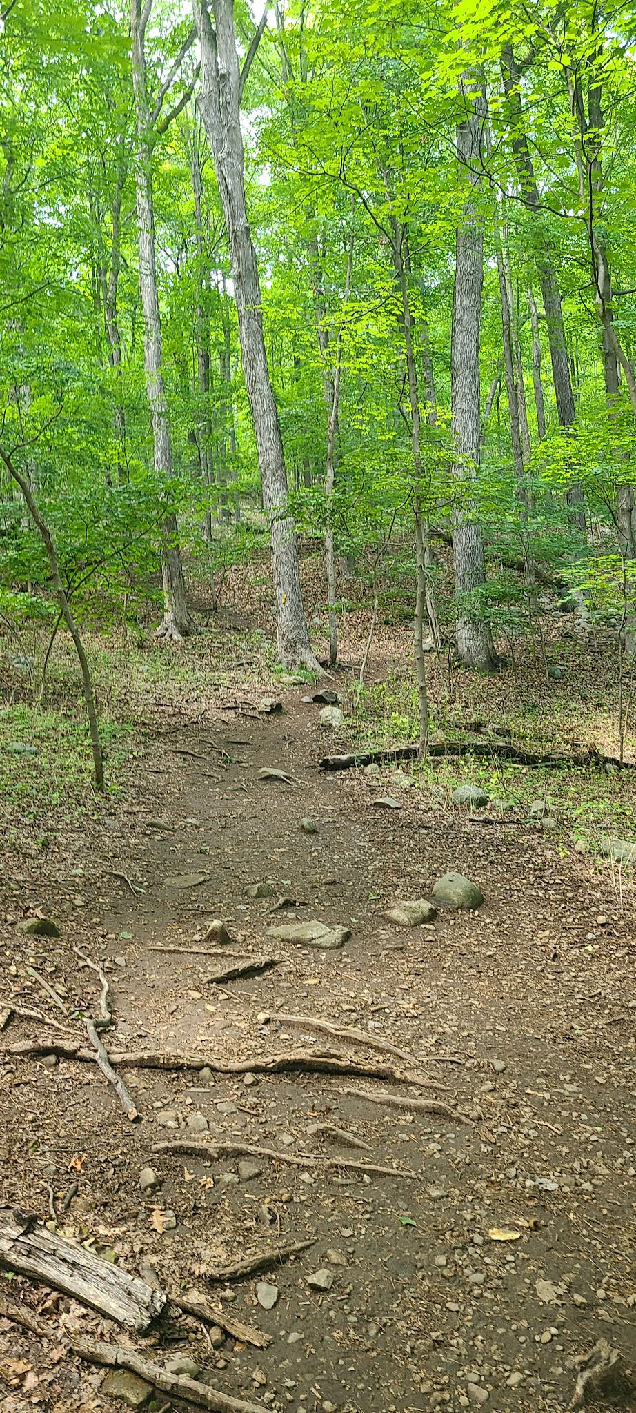 Ramapo River Access - Ramapo Reservation - Mahwah, NJ