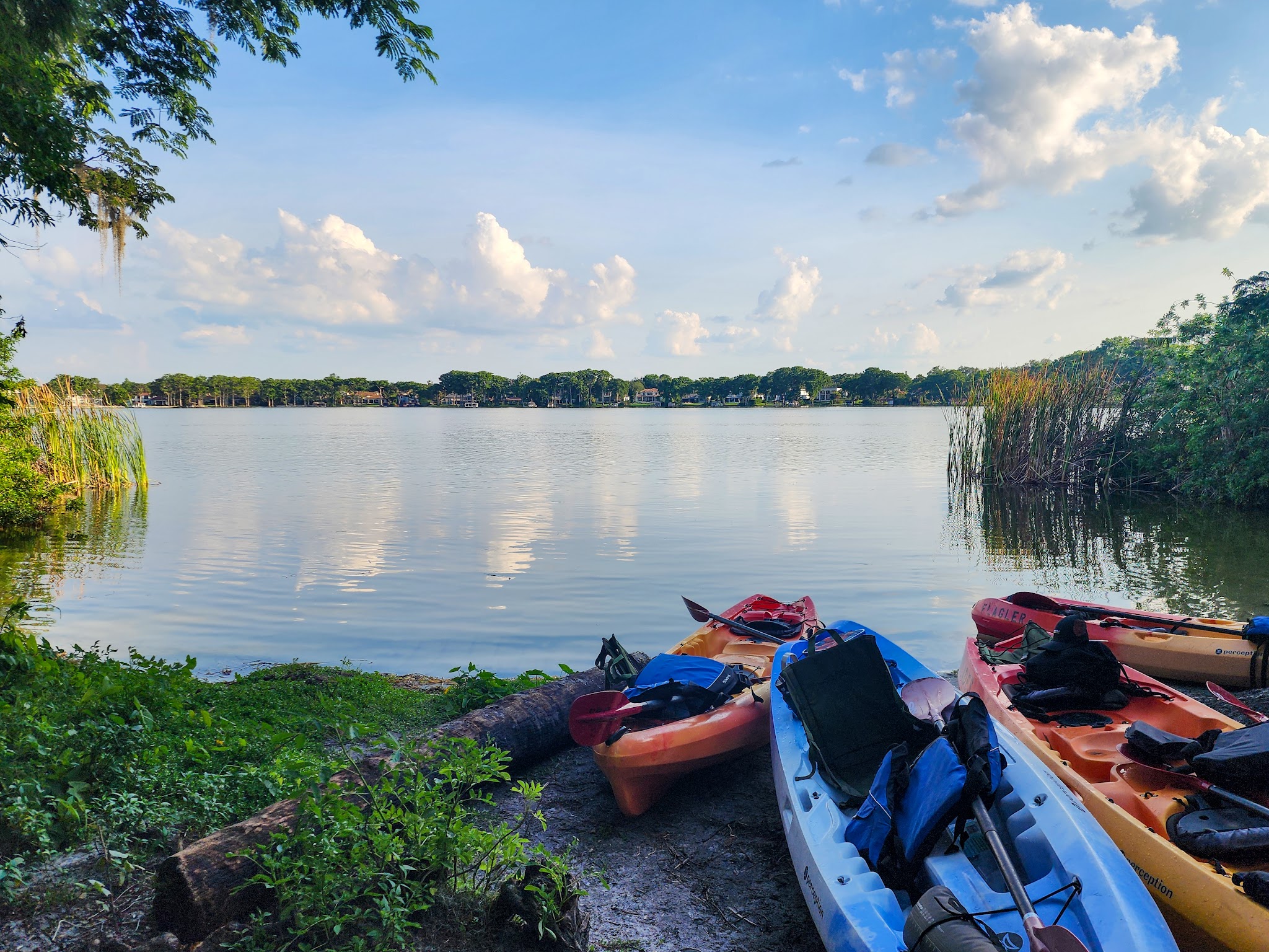 Dog Island - Maitland, FL