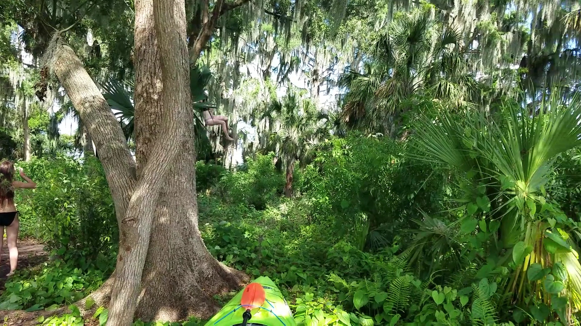 Dog Island - Maitland, FL