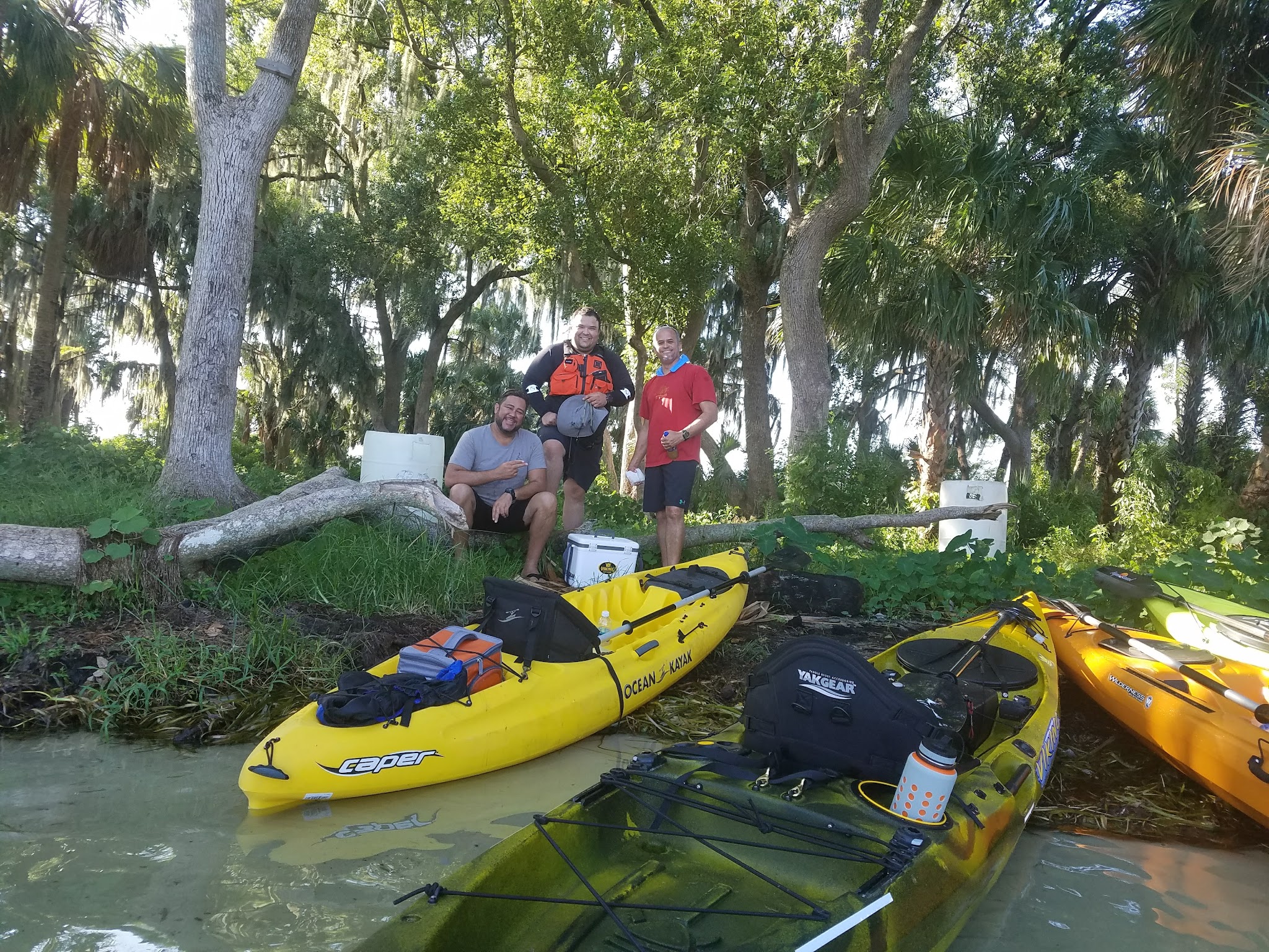 Dog Island - Maitland, FL