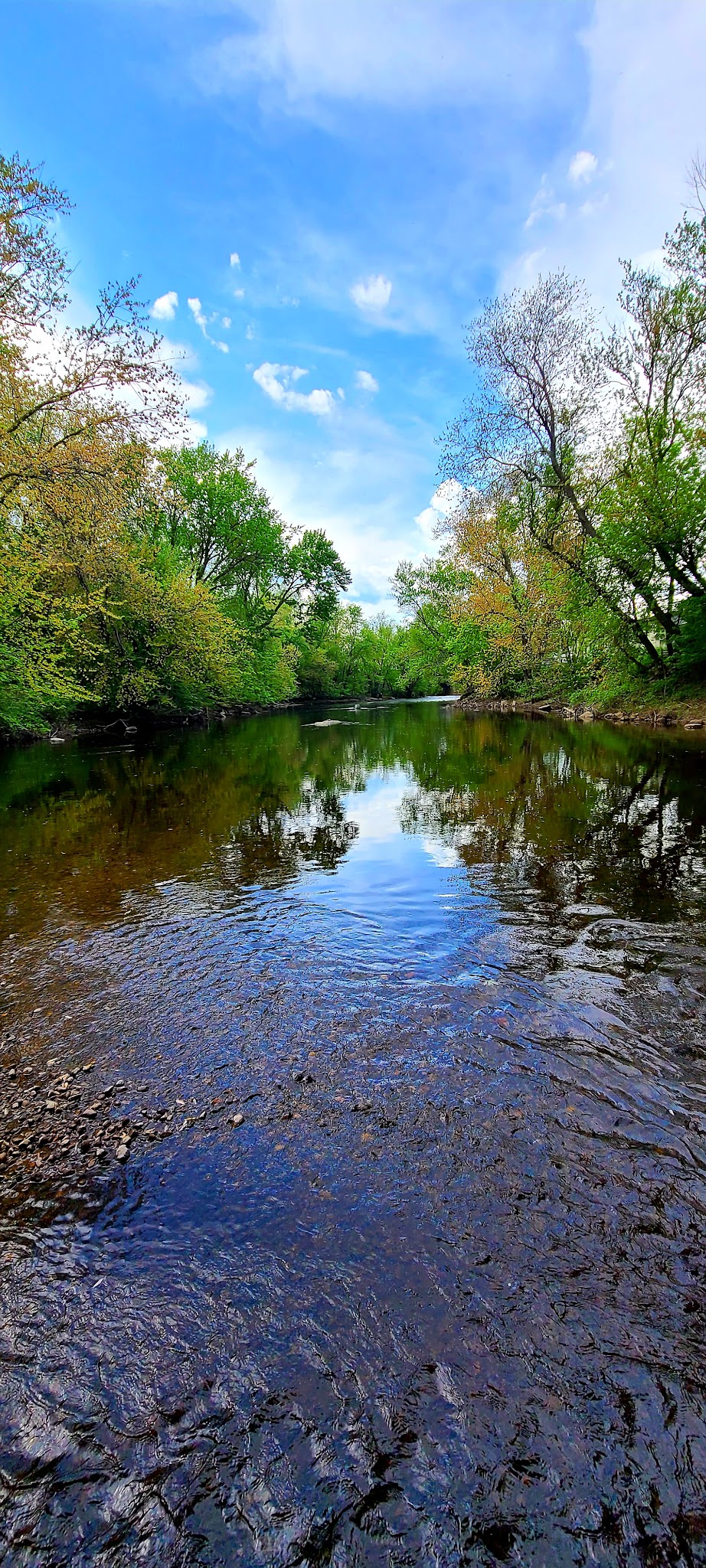 Bass Island Park - Manchester, NH