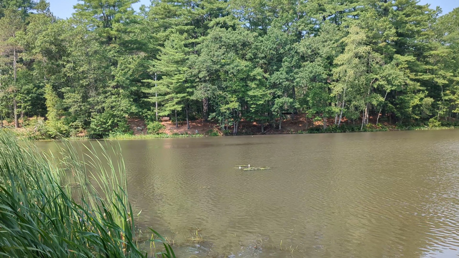 Dorrs Pond Nature Trail - Manchester, NH