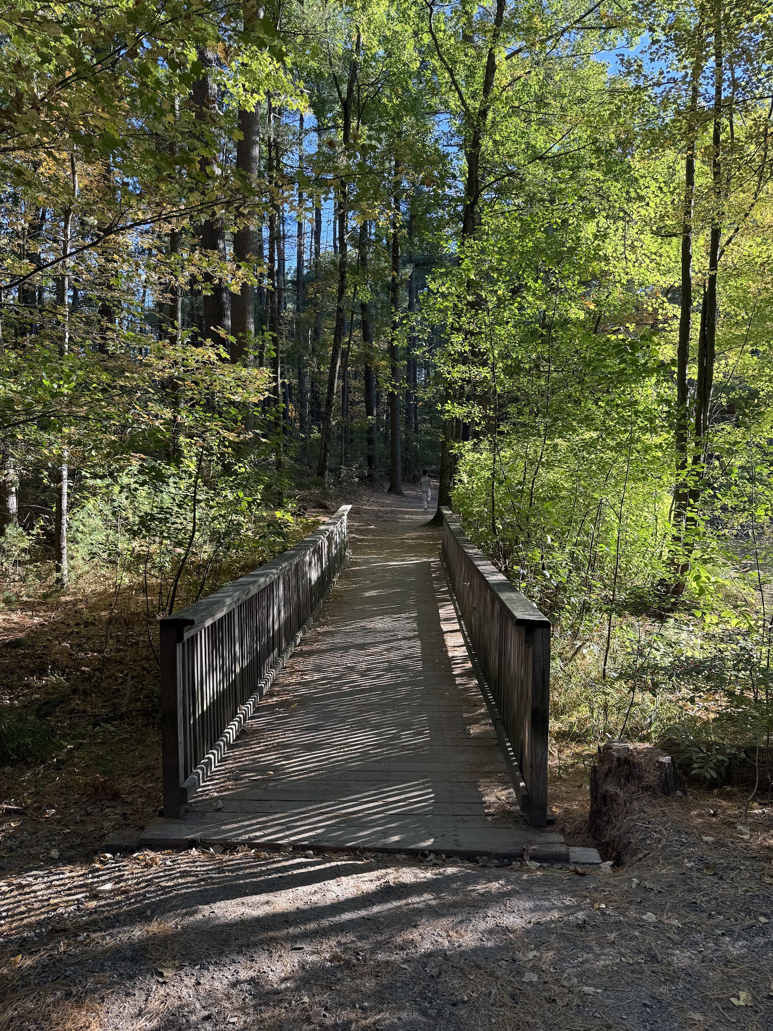 Dorrs Pond Nature Trail - Manchester, NH