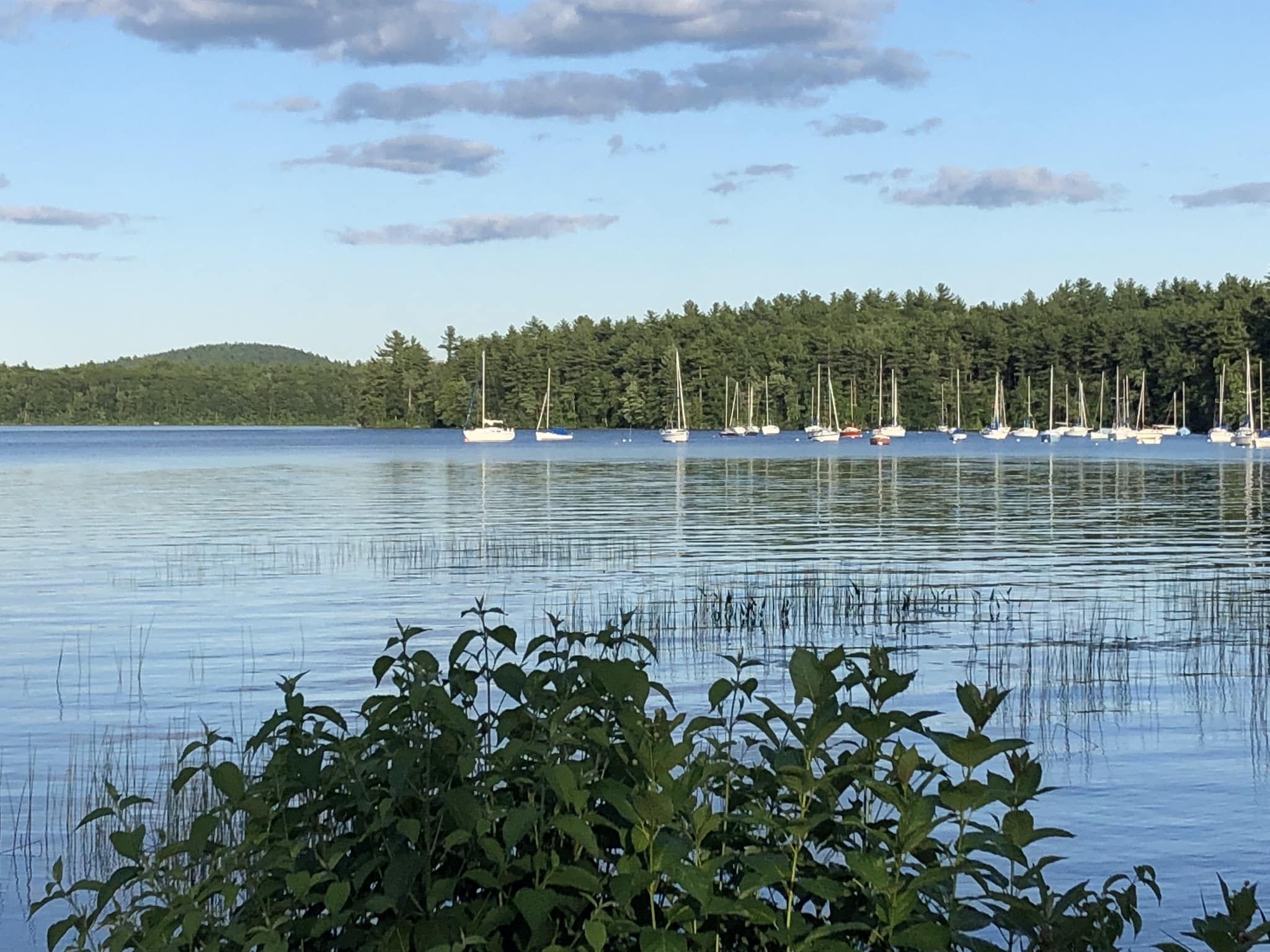 Rockingham Rail Trail - Manchester, NH