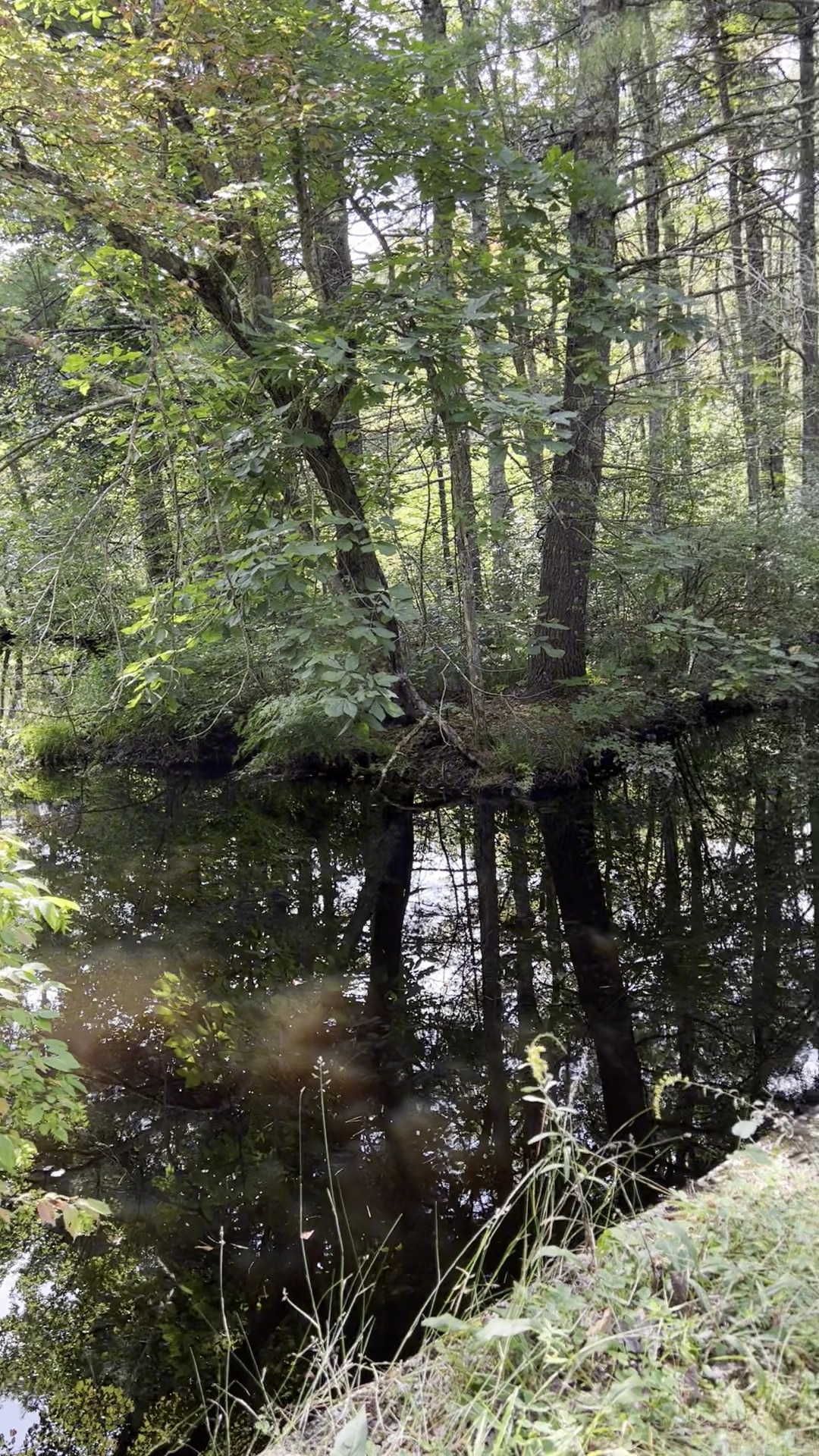 Rockingham Rail Trail - Manchester, NH