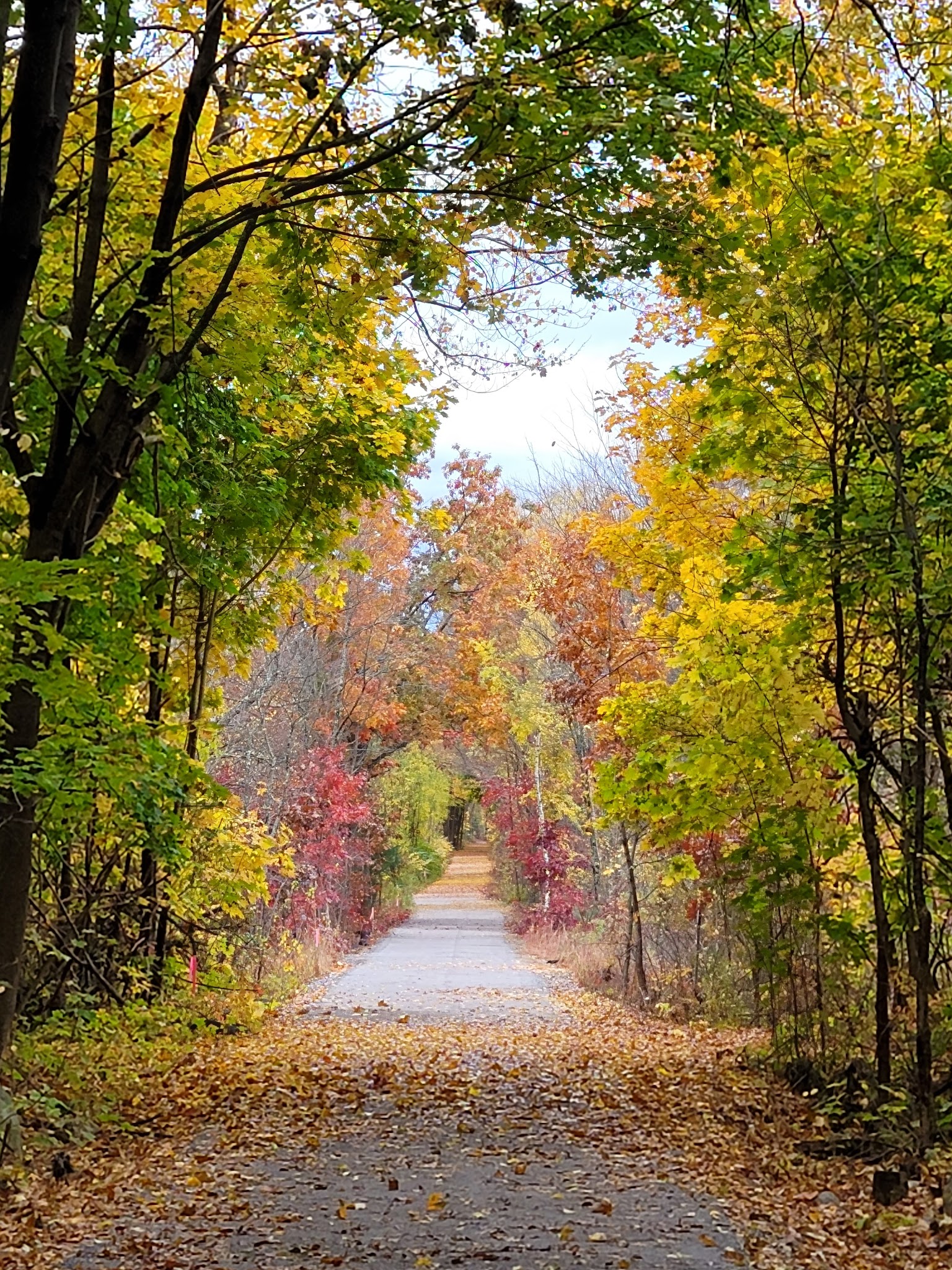 Rockingham Rail Trail - Manchester, NH