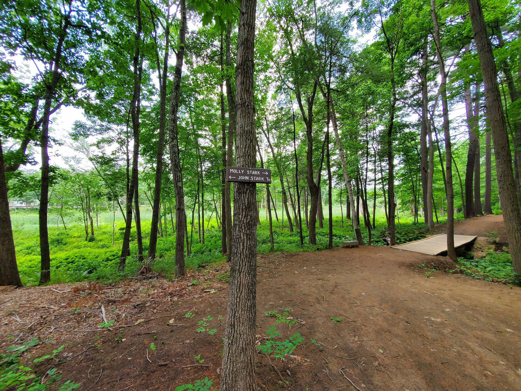 Stark Park - Manchester, NH