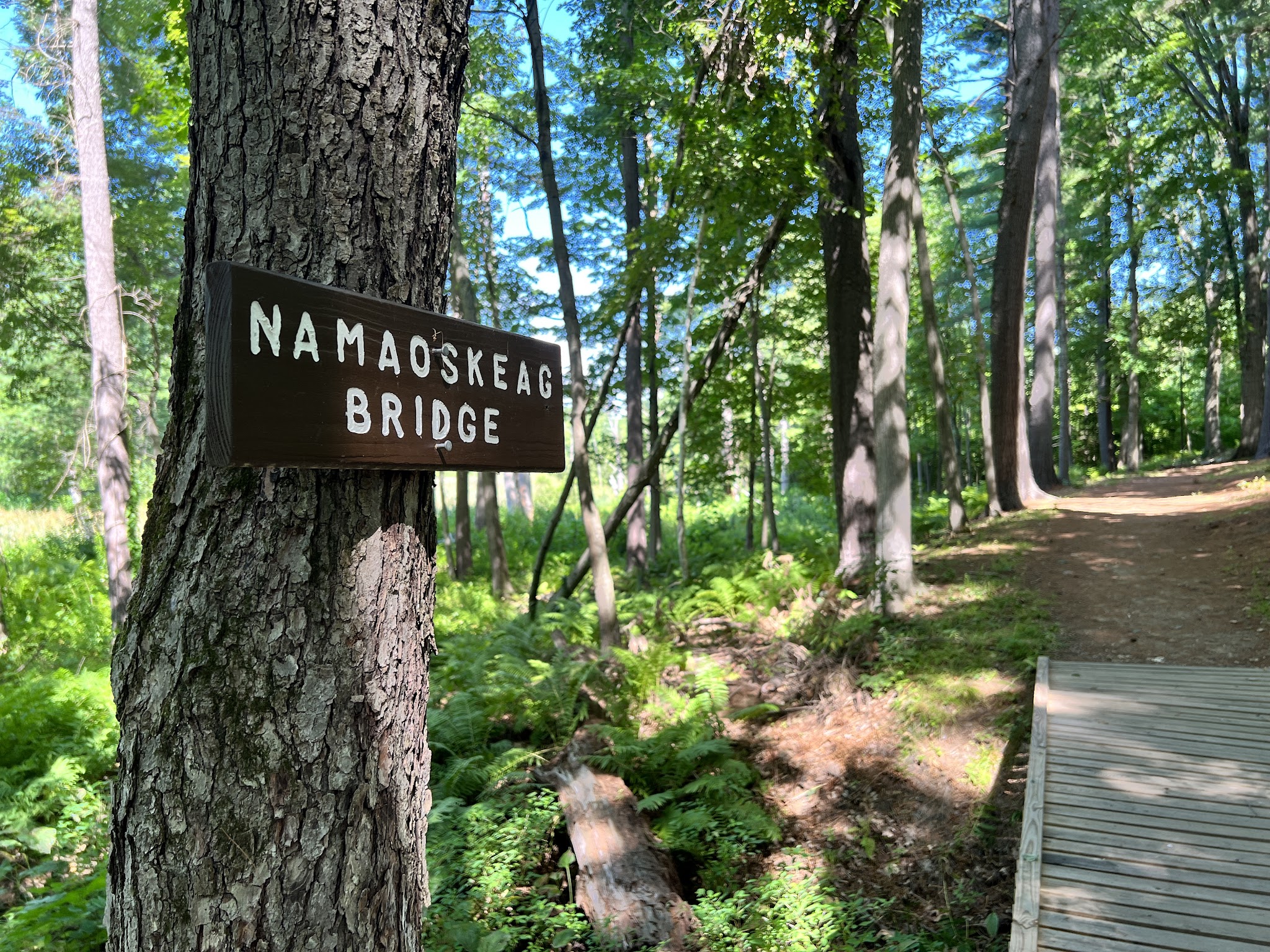 Walk in the Woods - Stark Park - Manchester, NH