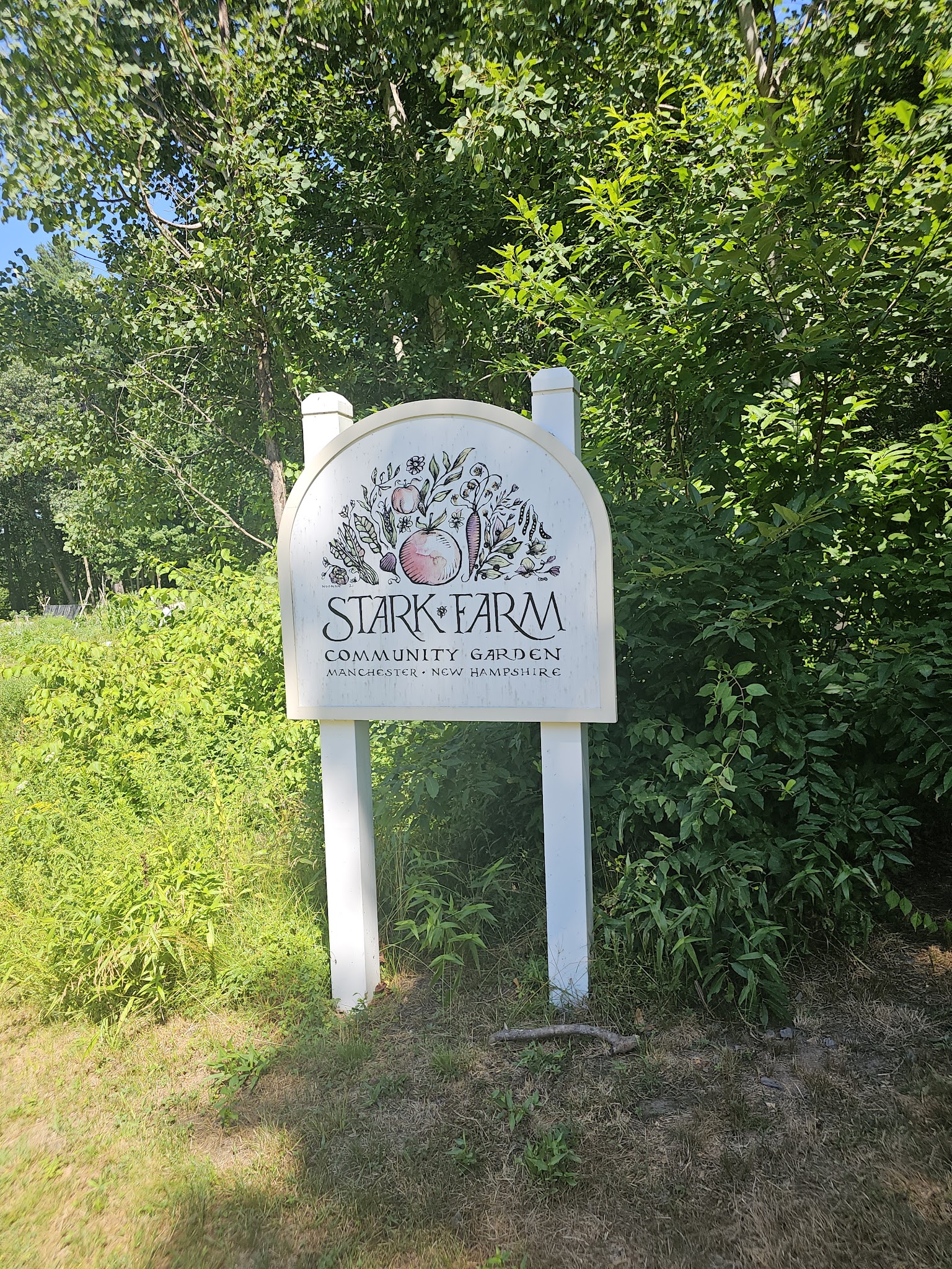 Walk in the Woods - Stark Park - Manchester, NH