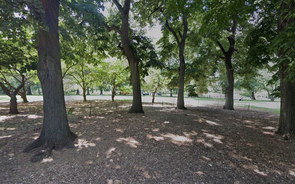 East Green - Manhattan, NY