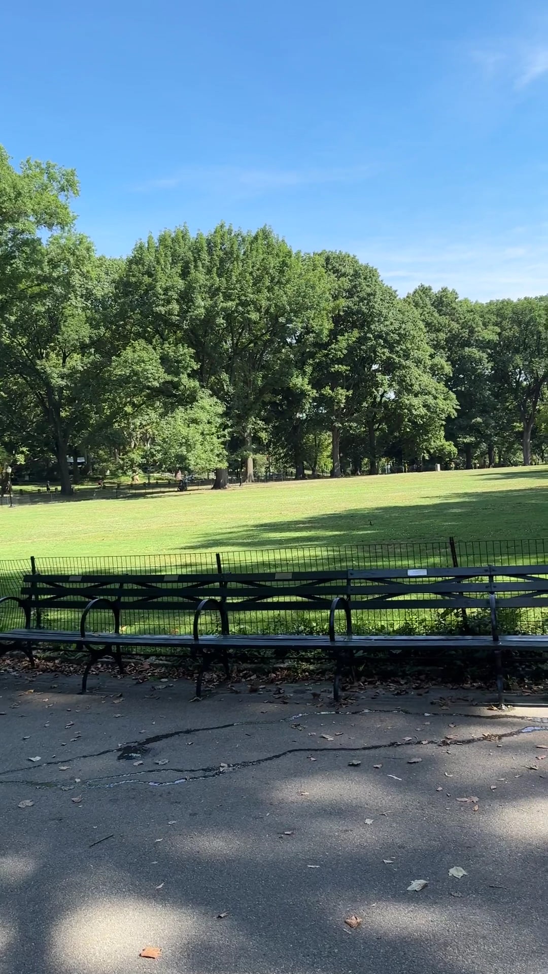 East Green - Manhattan, NY