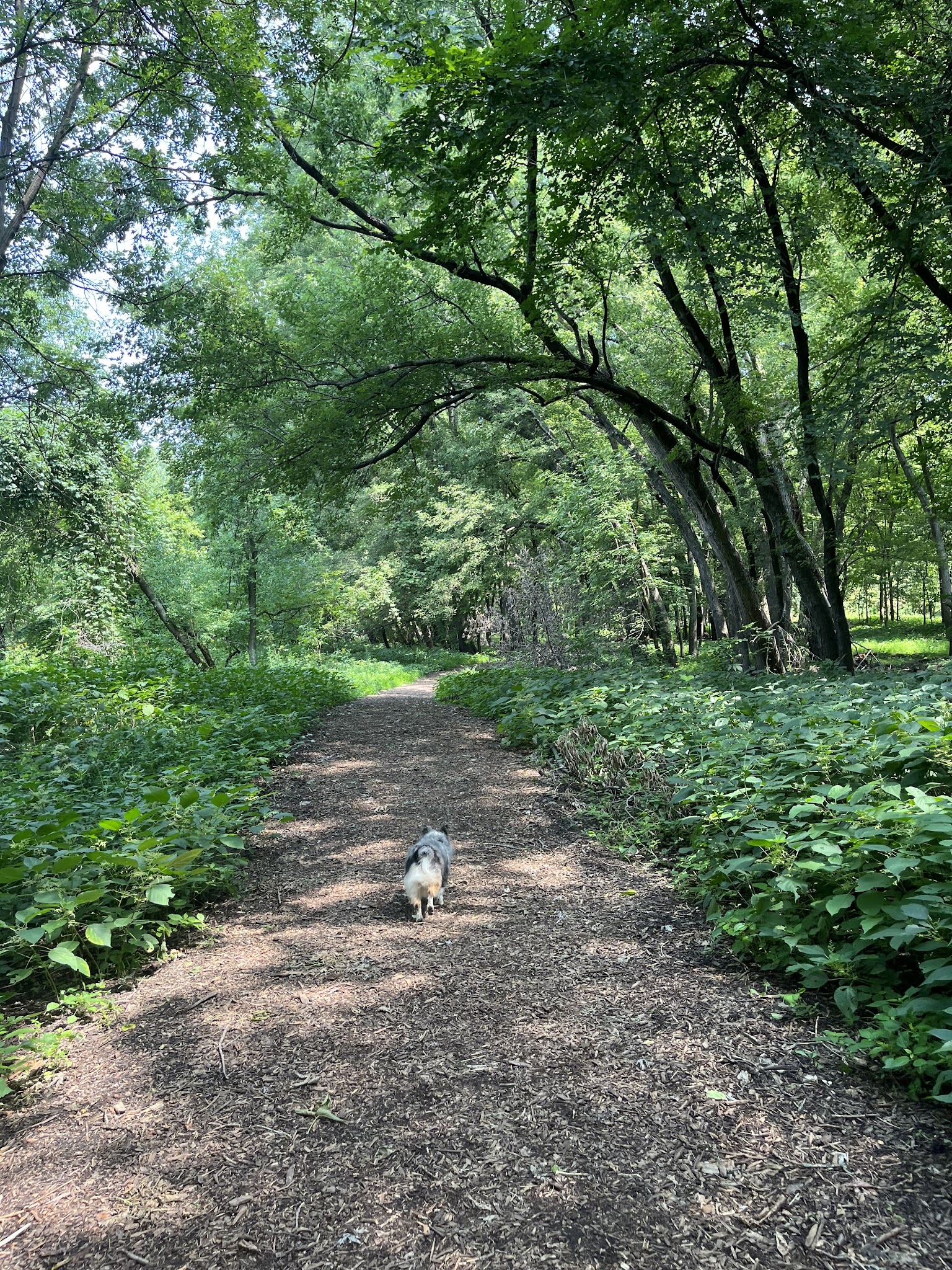 Kiwanis Recreation Area - Mankato, MN