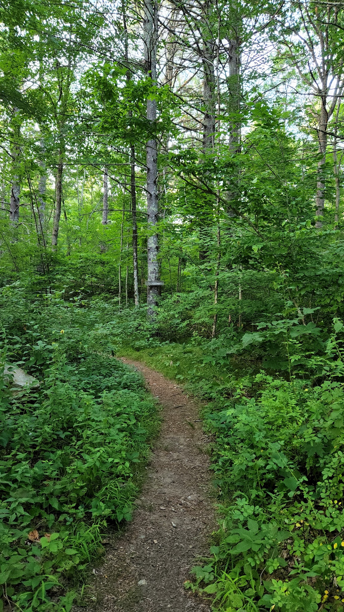 Lion’s Memorial Park - Mansfield Center, CT