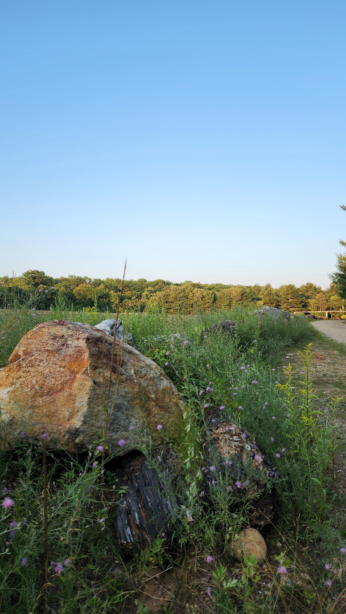 Lion’s Memorial Park - Mansfield Center, CT