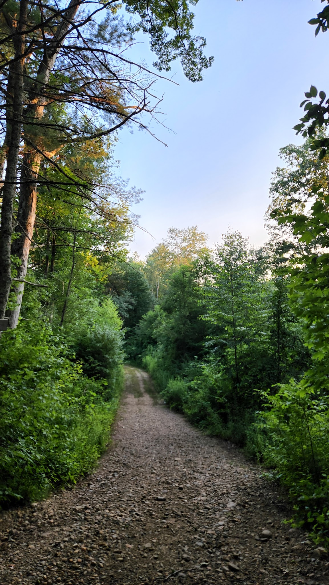 Lion’s Memorial Park - Mansfield Center, CT