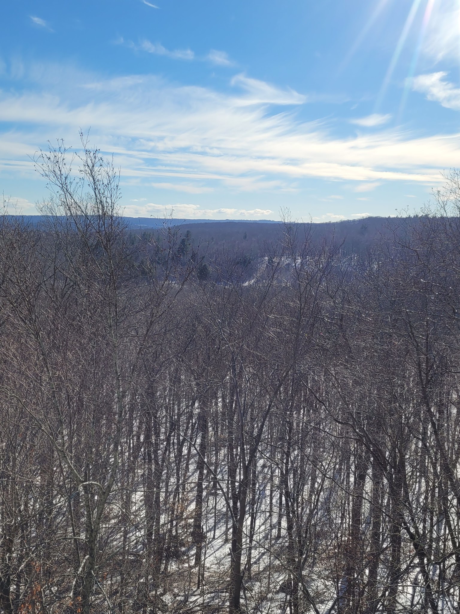 Sawmill Brook Preserve - Mansfield Center, CT