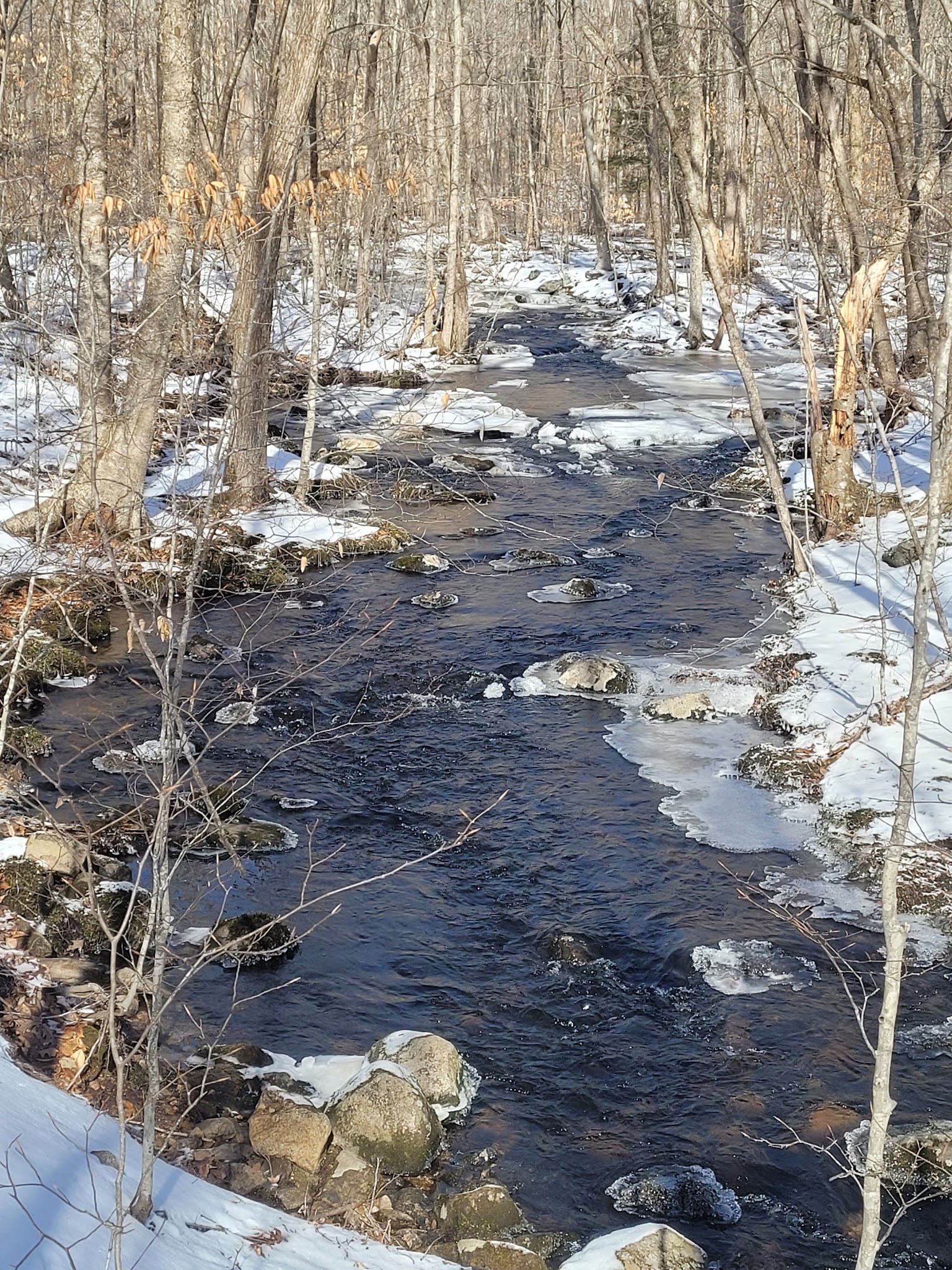 Sawmill Brook Preserve - Mansfield Center, CT