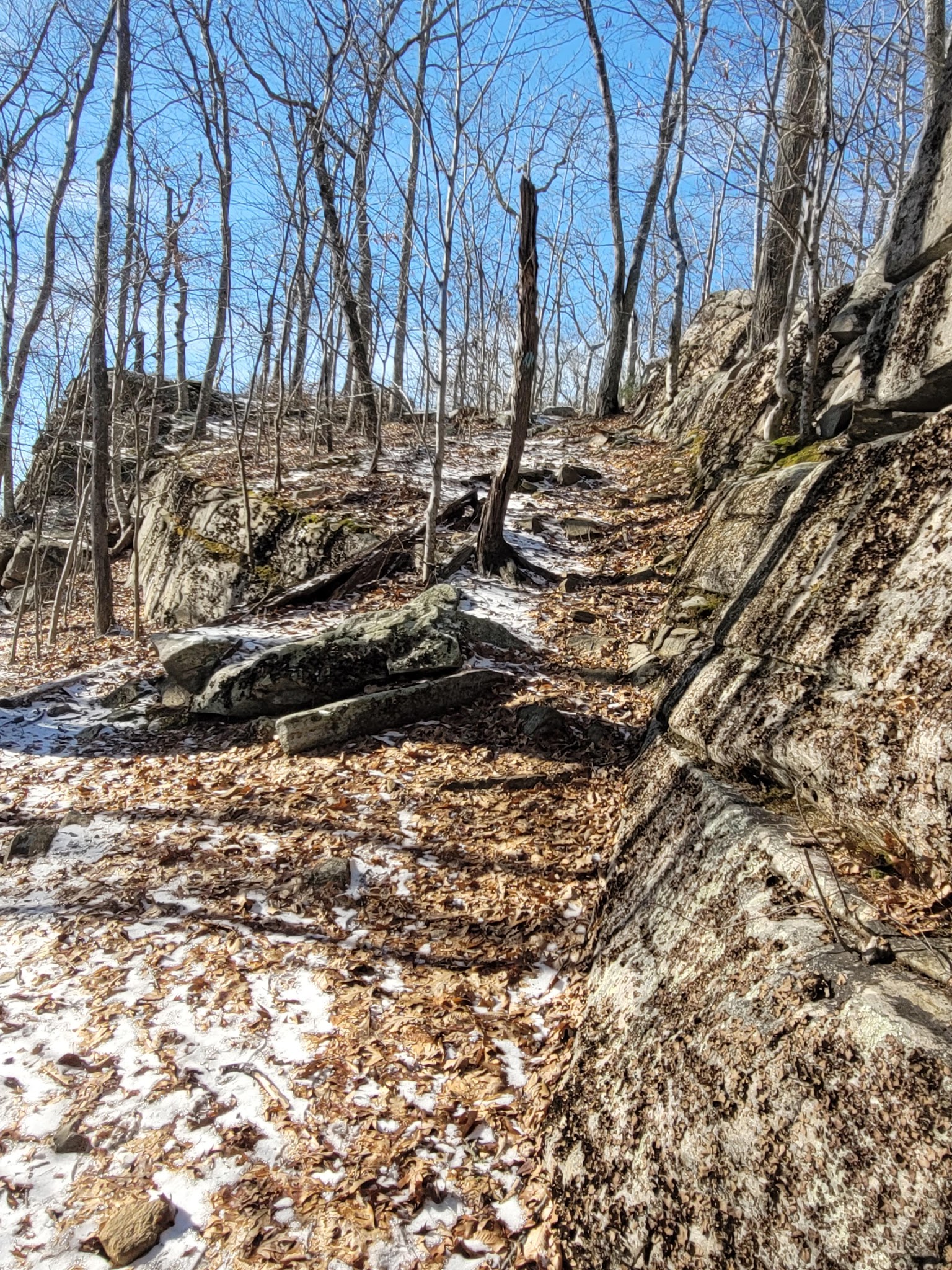 Sawmill Brook Preserve - Mansfield Center, CT